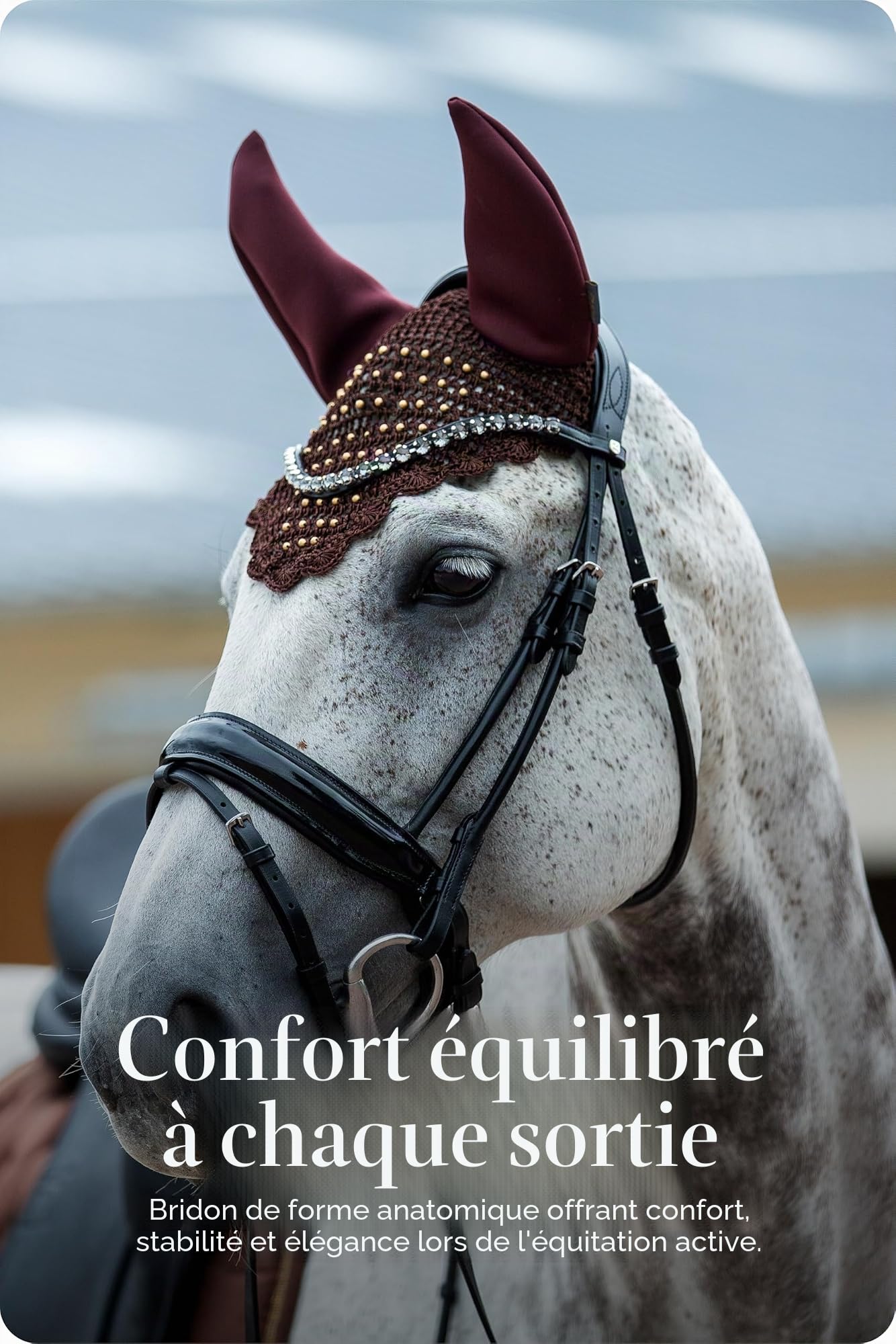 HORZE Bridon Anatomique Clermont pour Chevaux - pour Demi-Sang et Pur-Sang - Noir - F