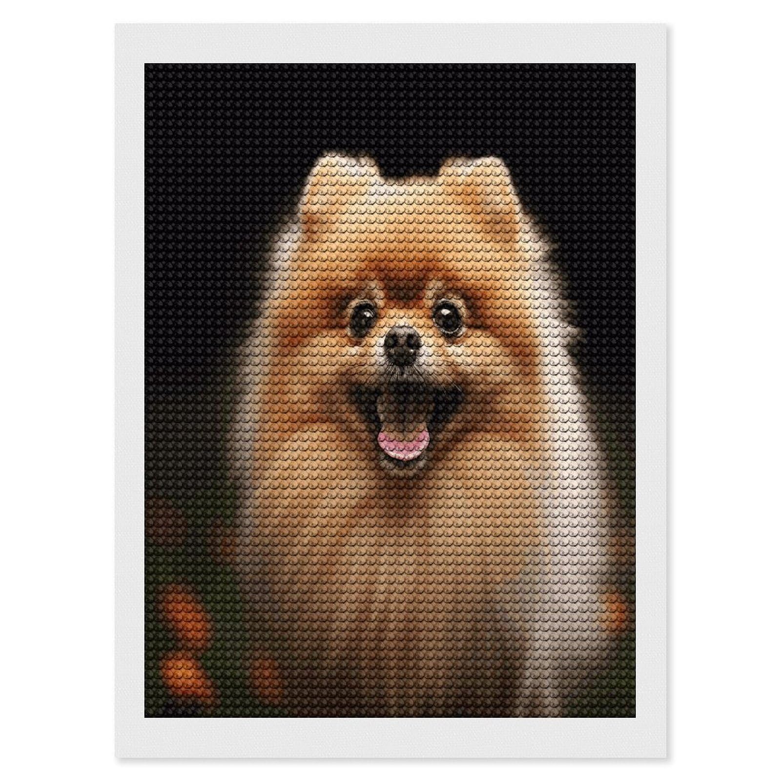 VstaDank Pomeranian Diamond Painting Kits Exquisite DIY Full Round Drill Diamond Dots Painting for Adults Beginner Diamond Photo Paint with Diamond Picture Art Wall Decor 12"x16"