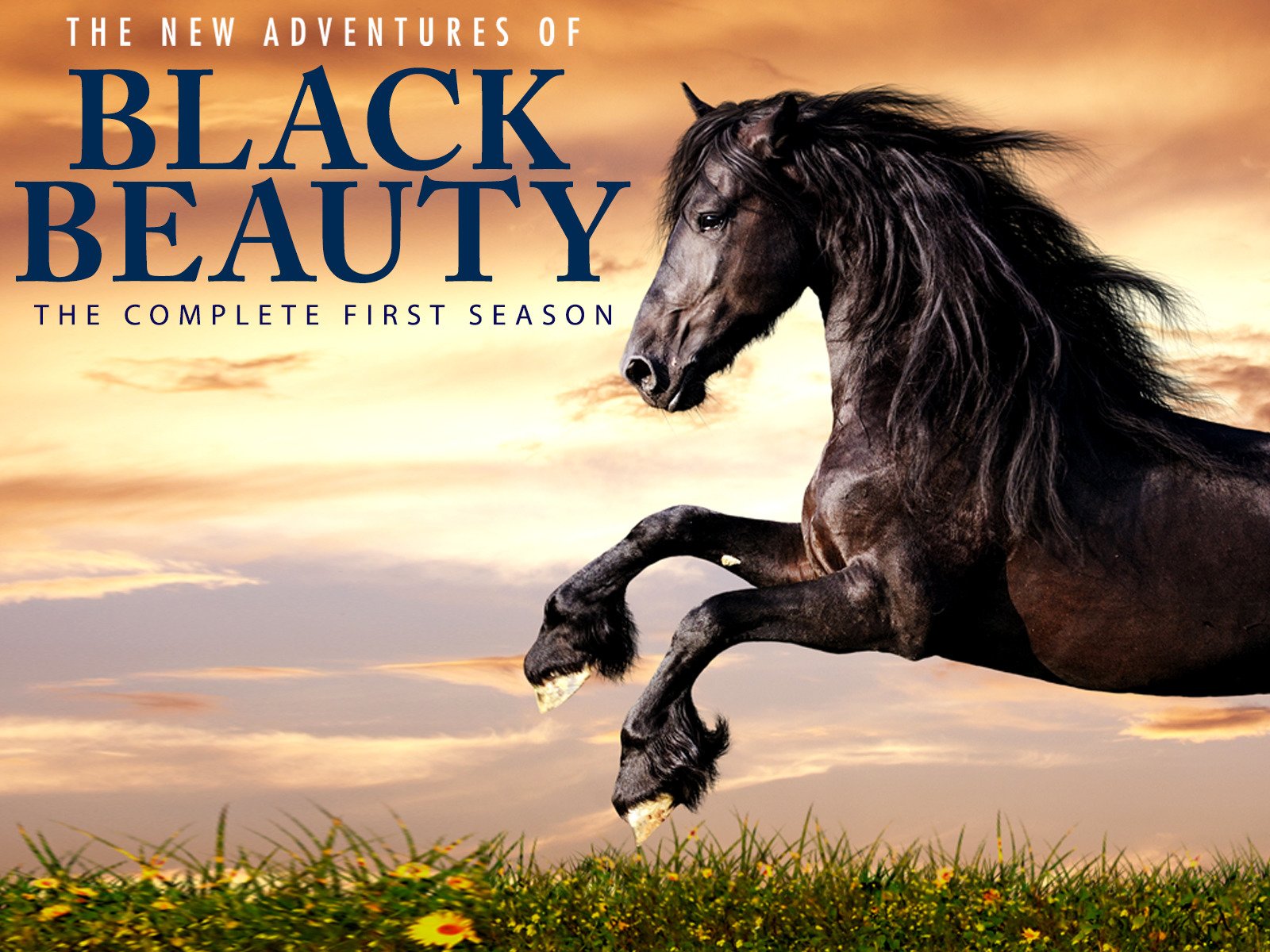 The New Adventures of Black Beauty