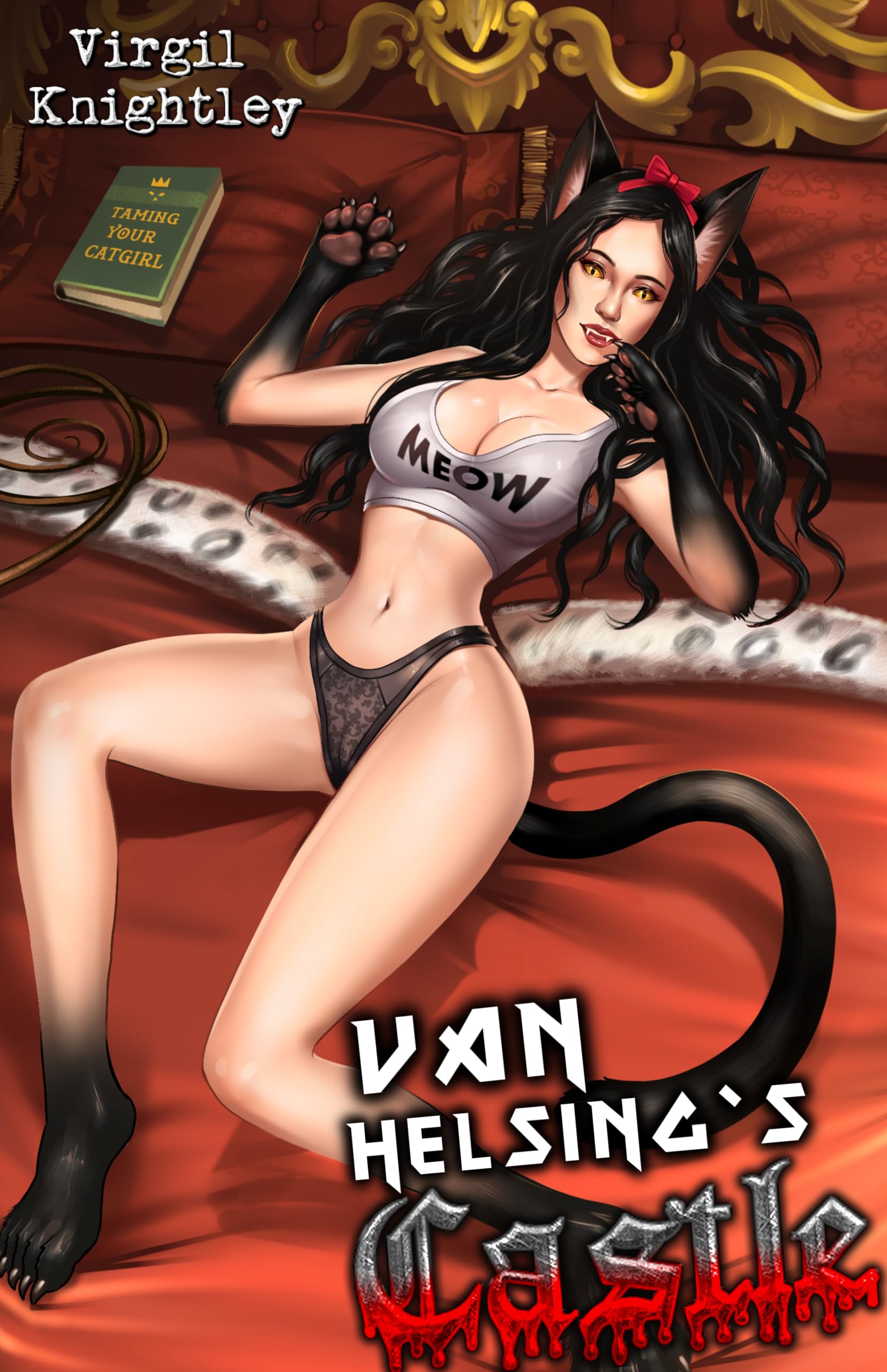 Cover of Van Helsing's Castle 1