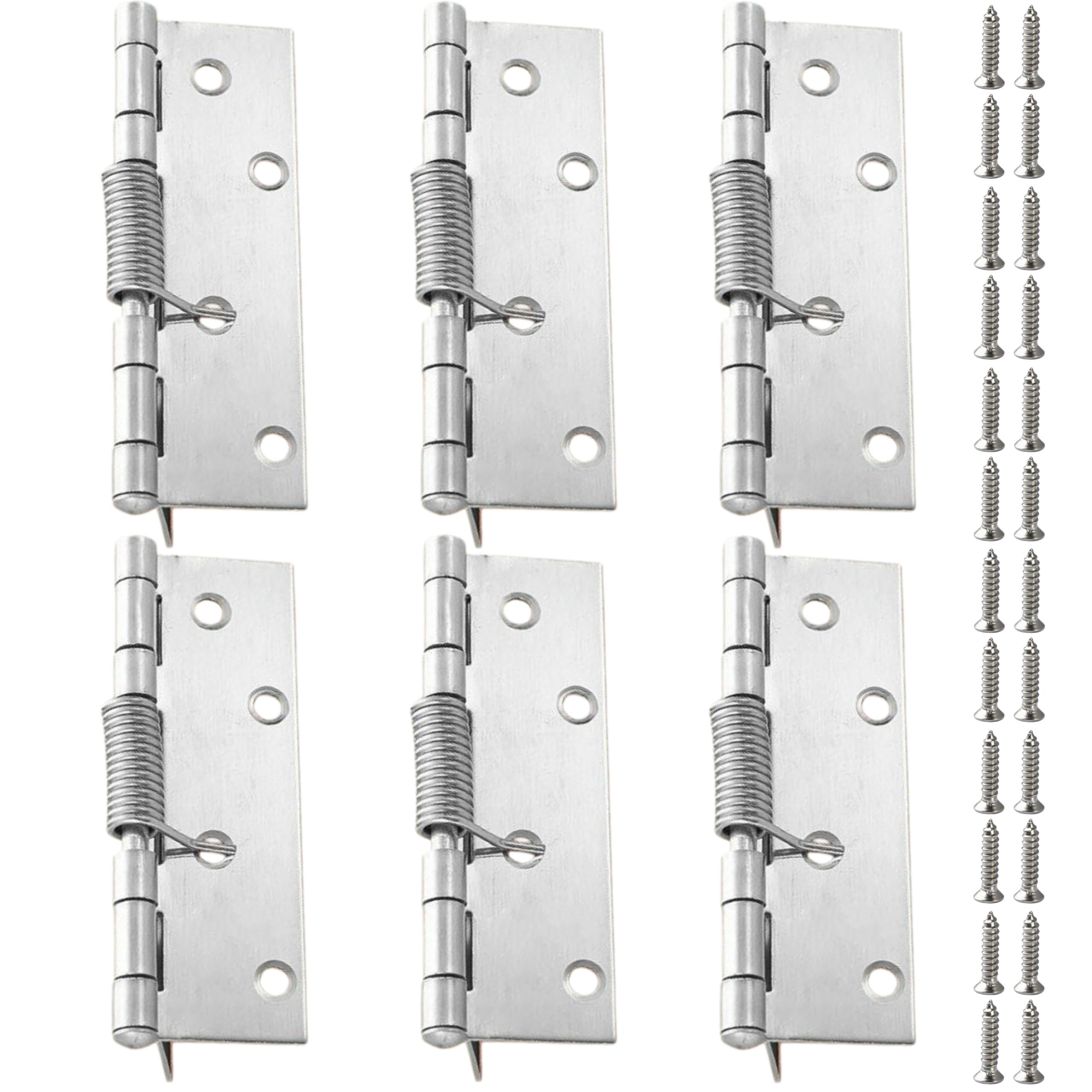 Vbnexyr Regular Hinge 6 Pack Stainless Steel Detachable Spring Hinges Automatic Closing Concealed Return Hinges 4 Inch External Spring Hinges