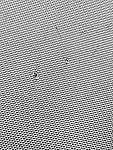 Review Image by Have a tear on the center of the black part they jump on. Have a tear on the center of the black part they jump on.