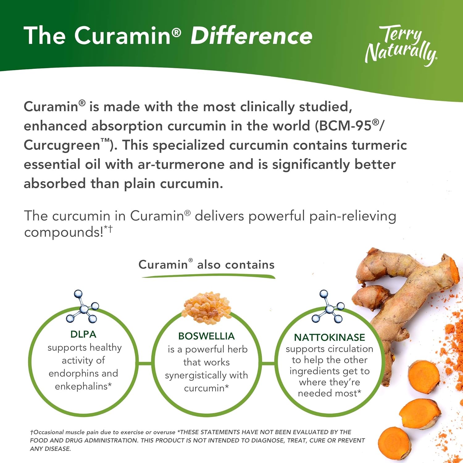 Terry Naturally Curamin - 60 Vegan Capsules - Non-Addictive Pain Relief Supplement with Curcumin from Turmeric, Boswellia & DLPA - Non-GMO, Gluten-Free - 20 Servings : Health & Household