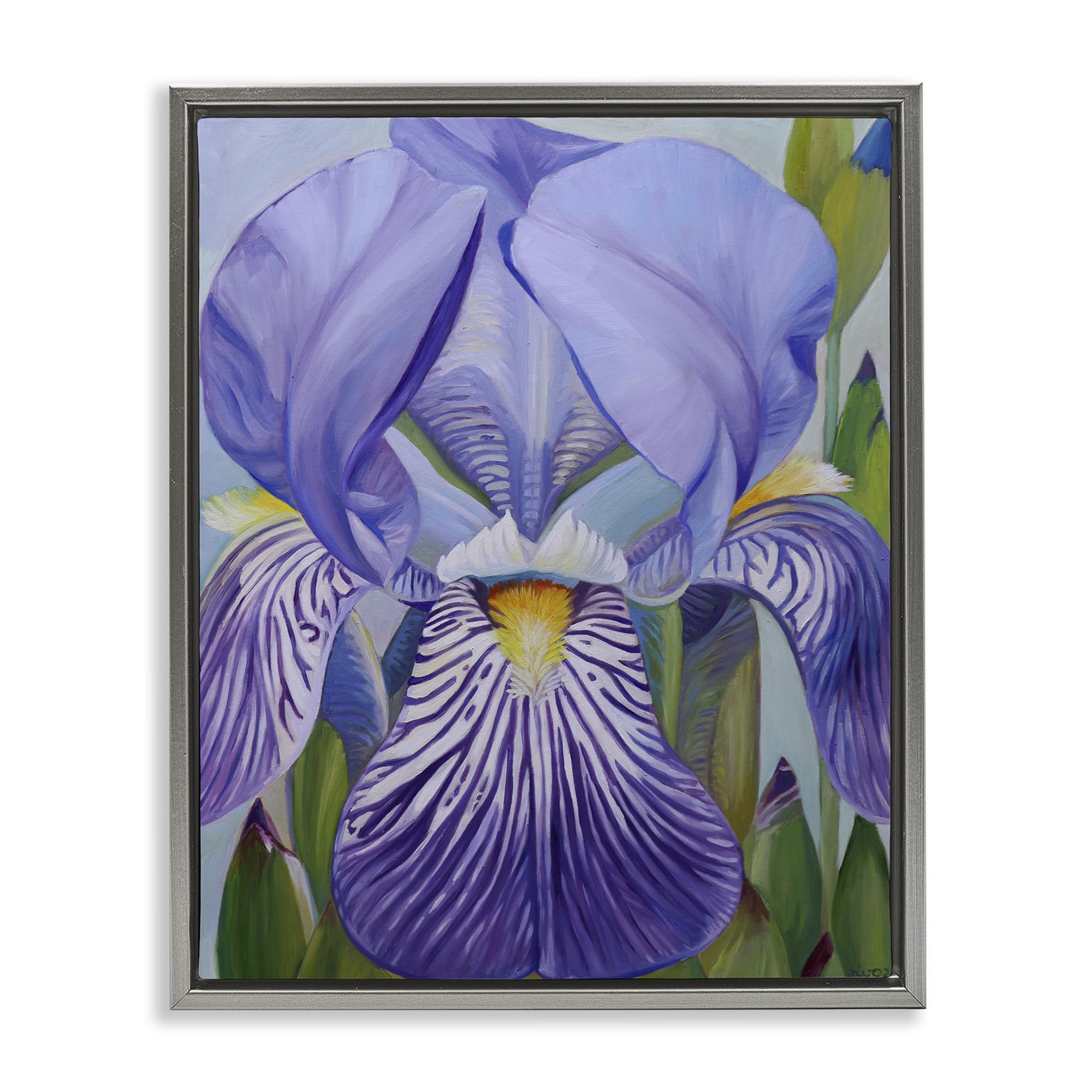 Stupell Industries Luster Gray (Matte) 'Blooming Purple Iris Petals'| Floating Frame Canvas Art