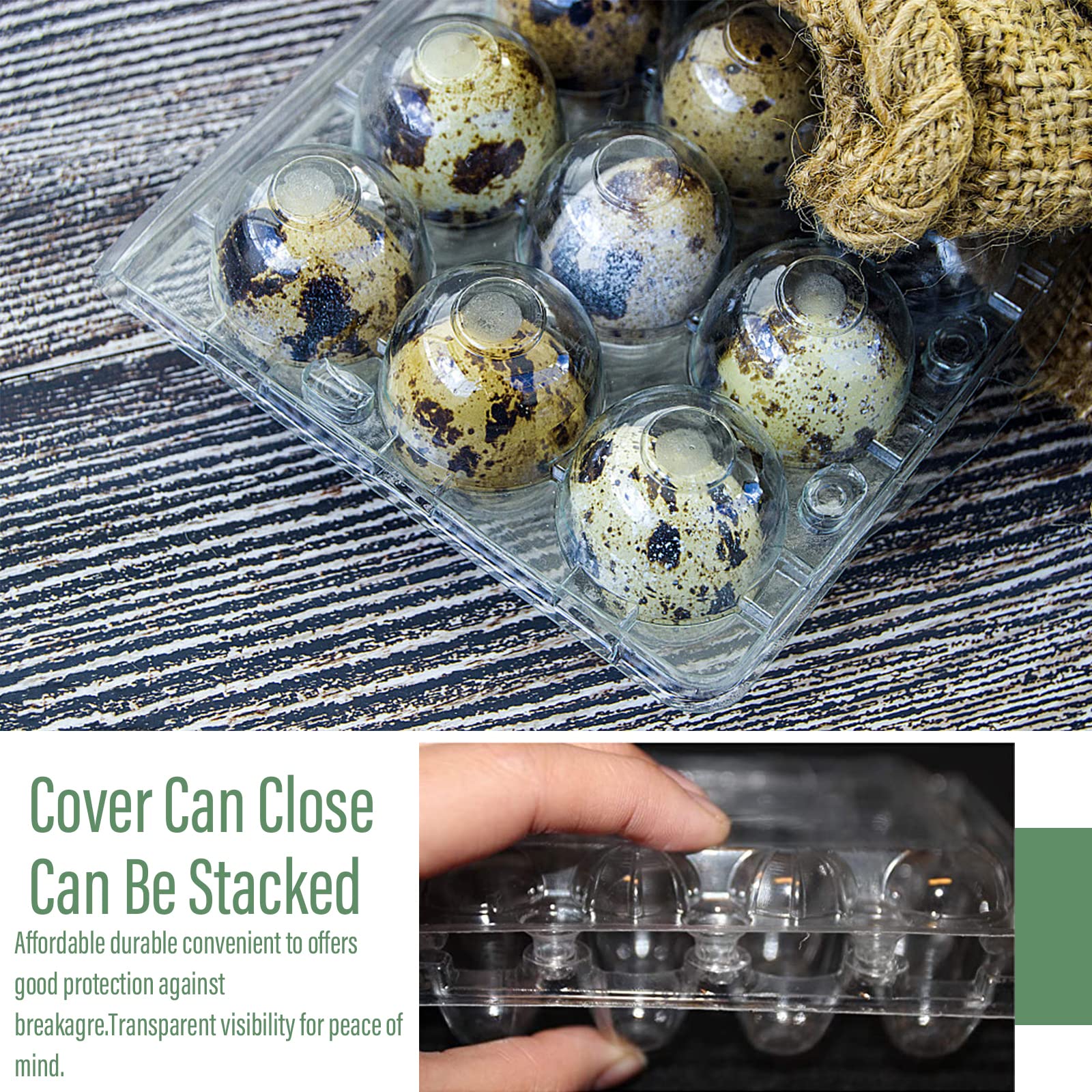 plástico Cajas para huevos de codorniz reutilizables Acampada huevera cajas de almacenamiento huevos de codorniz 12 pequeños transparentes caja de almacenamiento Adecuado para Frigoríficos