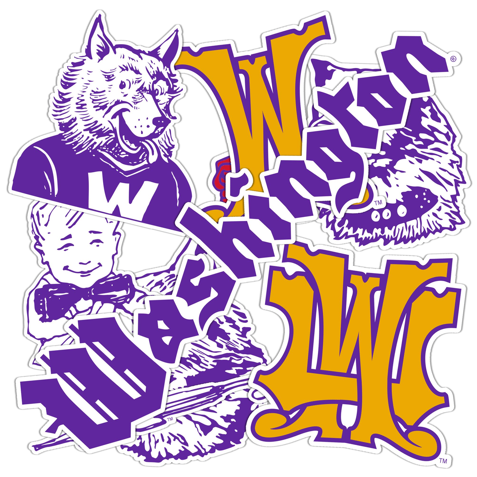 Desert Cactus University of Washington Sticker U of W UW Huskies Husky Vinyl Decals Laptop Water Bottle Car Type 2 (T2 Vintage 1)