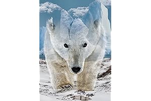 Challenging Impossible Polar Bear Jigsaw Puzzle 1000 Pieces