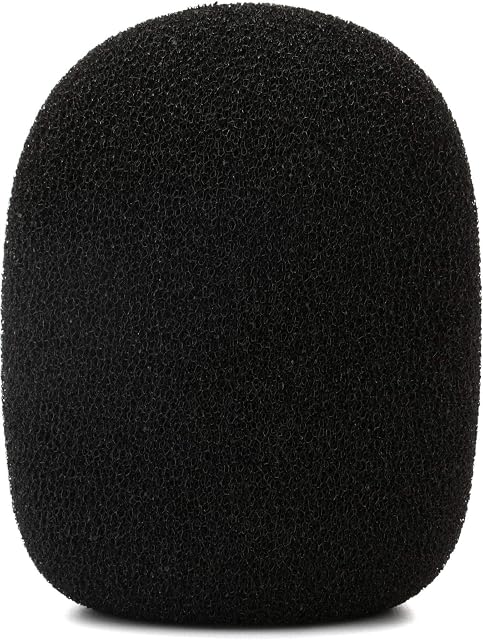 RØDE WS2 Pop Filter Wind Shield