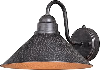 VAXCEL Outland 9 in. H 1-Light Aged Iron and Light Gold Dusk to Dawn Sensor Farmhouse Outdoor Wall Sconce, Gooseneck Metal Shade, Dark Sky Compliant for Exterior Porch Patio Front Door or Garage