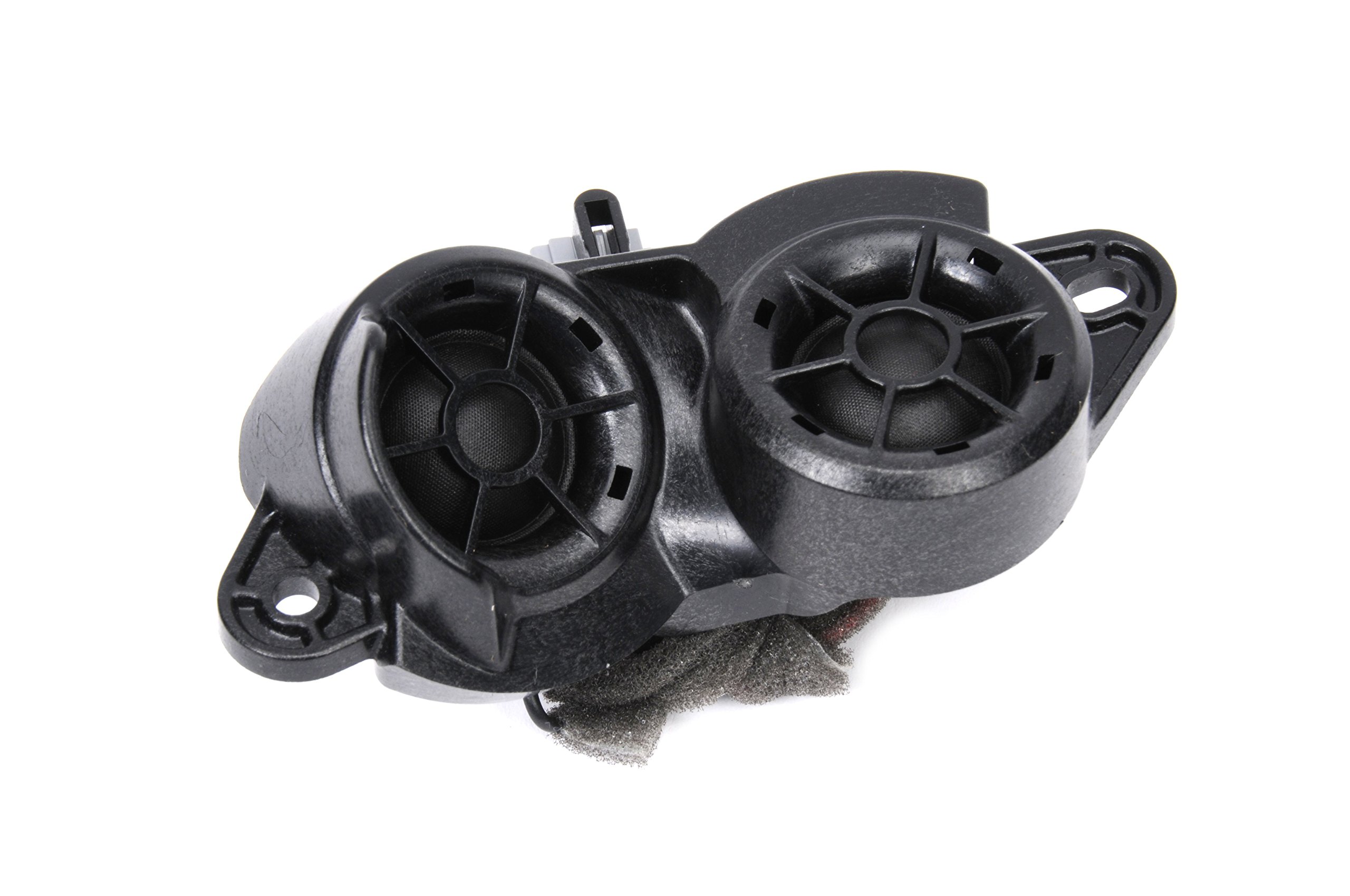 Amazon.com: ACDelco GM Original Equipment 22982993 Rear Side Door  