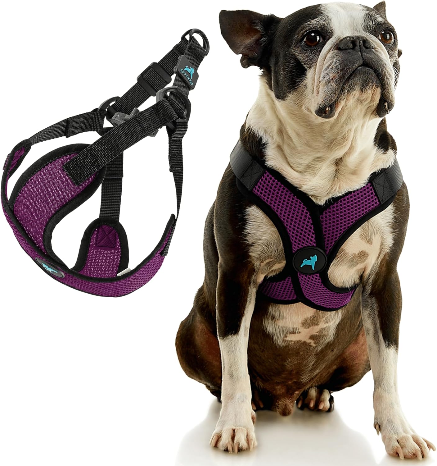 Gooby Comfort X Step in Lite Harness Purple, Small