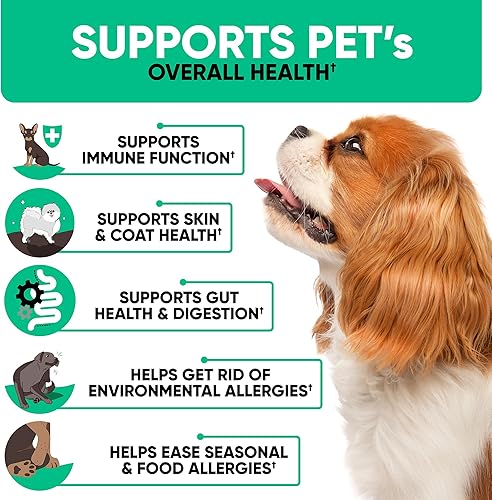 Miniatura 4 de Masticables naturales para la alergia de los perros para la picazón del perro, sabroso alivio de alergias, suplemento para mascotas para piel seca