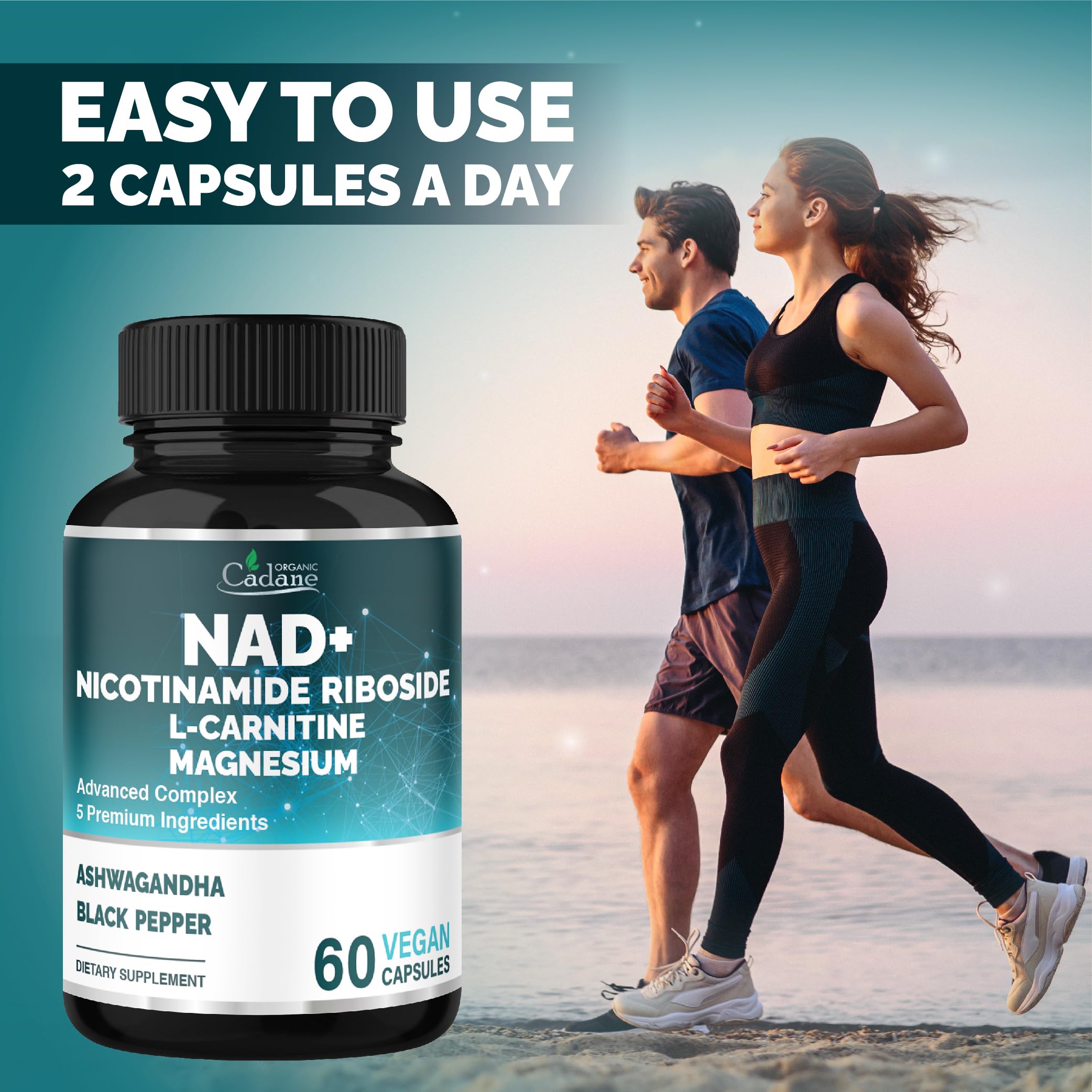 l carnitine and ashwagandha together Amazon.com: Organic Cadane Nicotinamide Riboside Supplement with L-Carnitine,  Magnesium Glycinate, Ashwagandha, Black Pepper | Cellular Health & Wellness  Support