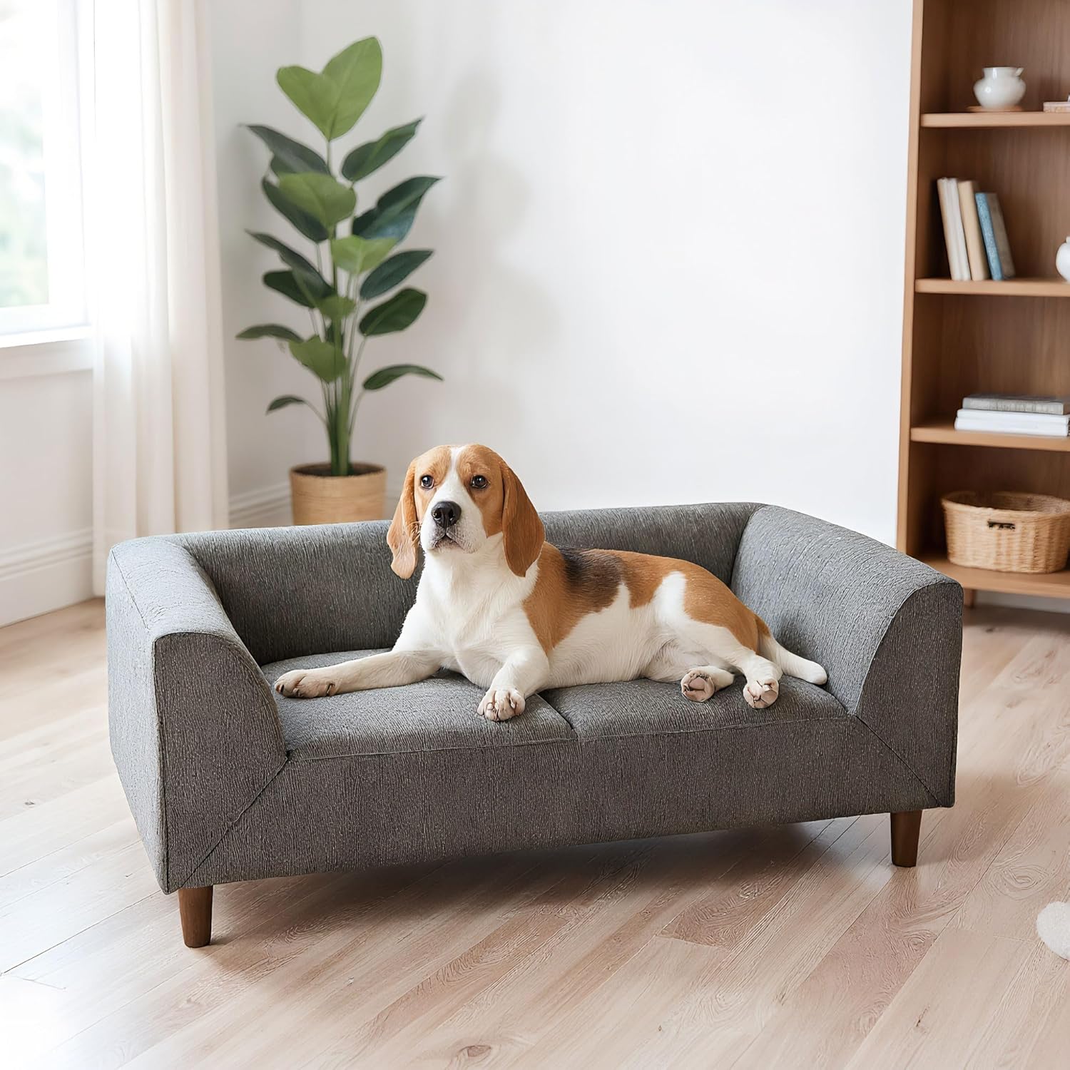 Elevated Dog Sofa with Backrest and Armrests, Cozy Dog Couch Bed with Soft Cushion for Medium Dogs, Modern Lounging Bed Pet Couch Chair, 60Lbs Weight Capacity, Dark Gray