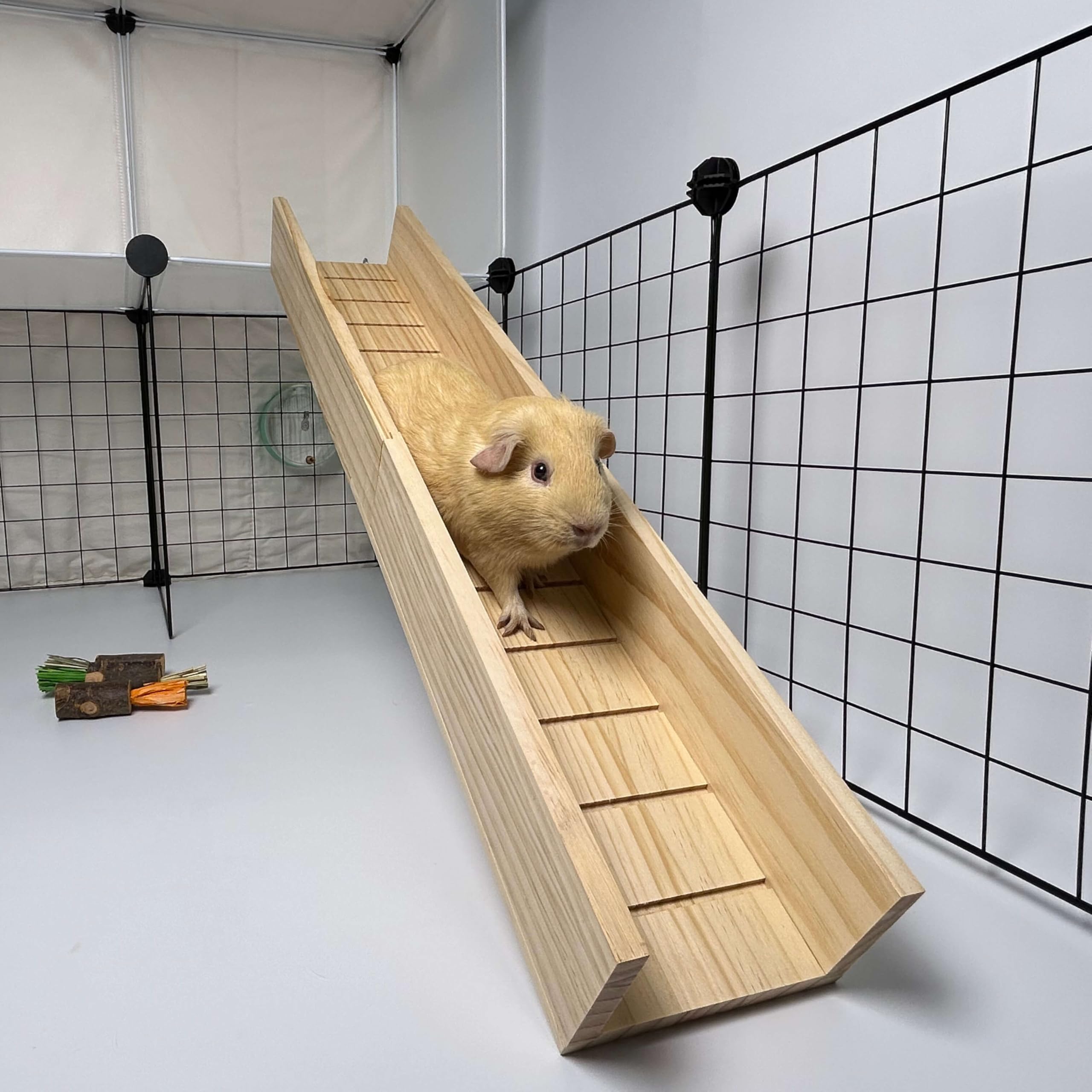 Pet Ramps Guinea Pig Ramps For Sale PawHut Small Animal Cage
