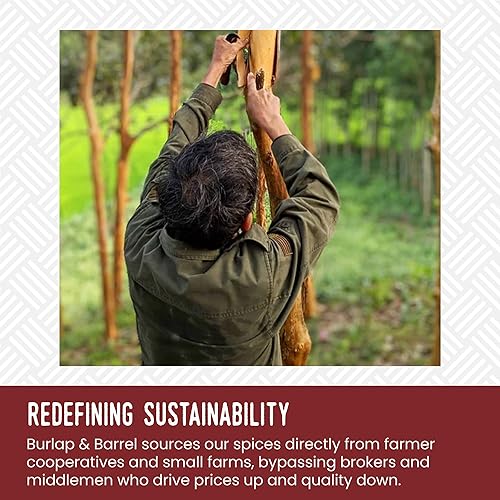 Miniatura 7 de Burlap & Barrel Royal Cinnamon  Dulzura intensa y picante de canela vietnamita en polvo y especias  Como se ve en Shark Tank  Tarro de vidrio de 1.8