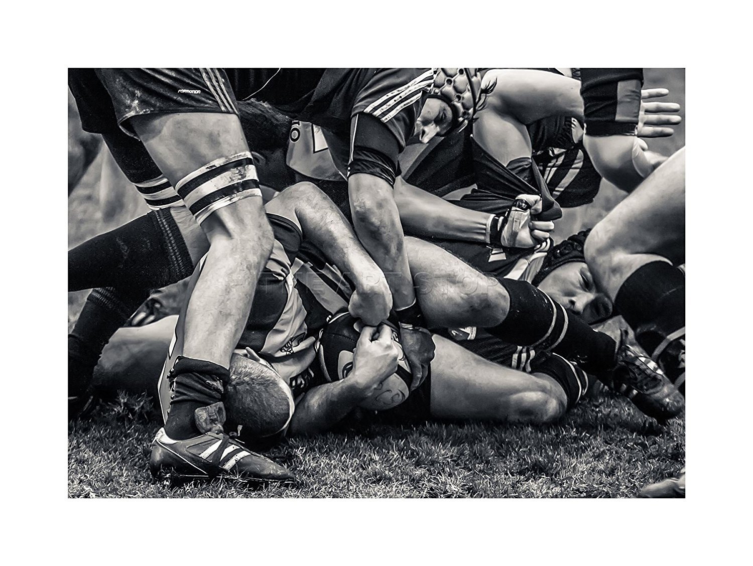 Wee Blue Coo Photo Sport Rugby Football Scrum Players Ball Picture Wall Art Print
