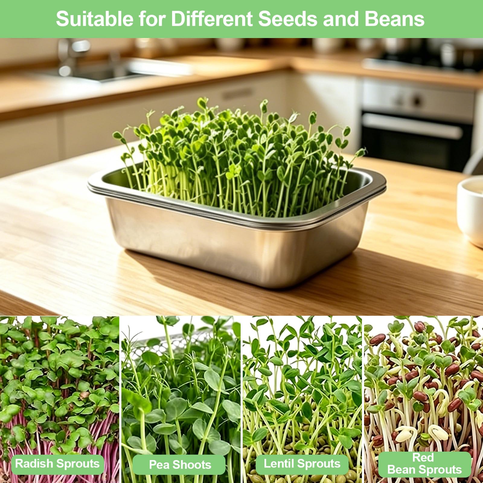 1er Set Sprossen Anzuchtset Edelstahl : 2-in-1 Keimschalen Set für Sprossen mit Silikonsieb & Stoff-26 x 19 cm Microgreens Anzuchtschalen für Katzengras Kresse- Profi Wiederverwendbare Keimschale