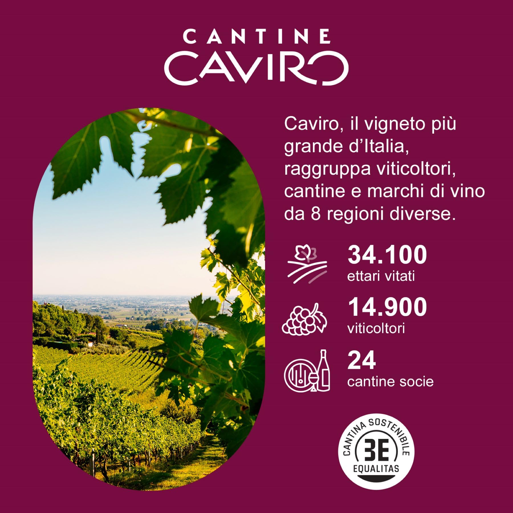 Cantina Castelli Modenesi Pignoletto DOC frizzante, Vino bianco dal Gusto Morbido e Profumo Fresco e Fruttato, 11% Vol., Confezione da 6 bottiglie da 750 ml