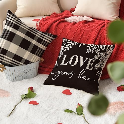 Miniatura 5 de AVOIN colorlife Juego de 4 fundas de almohada de amor en blanco y negro para el día de San Valentín, 16 x 16 pulgadas, diseño de Hello Valentine a