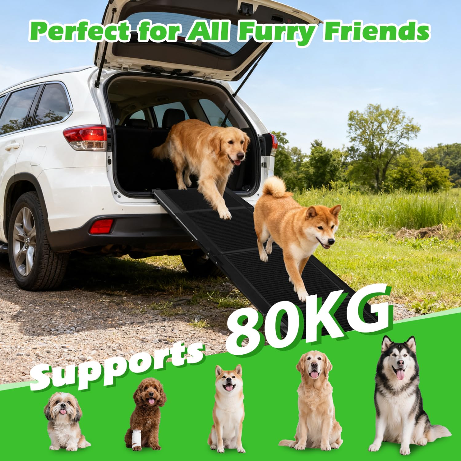 Nobleza - Rampa para Perros para Coche 170 cm, Rampa Plegable Cama para Mascotas de Metal con Alfombra Antideslizante para Perros Menos de 110kg, Escalera para Perros Medianos Grande