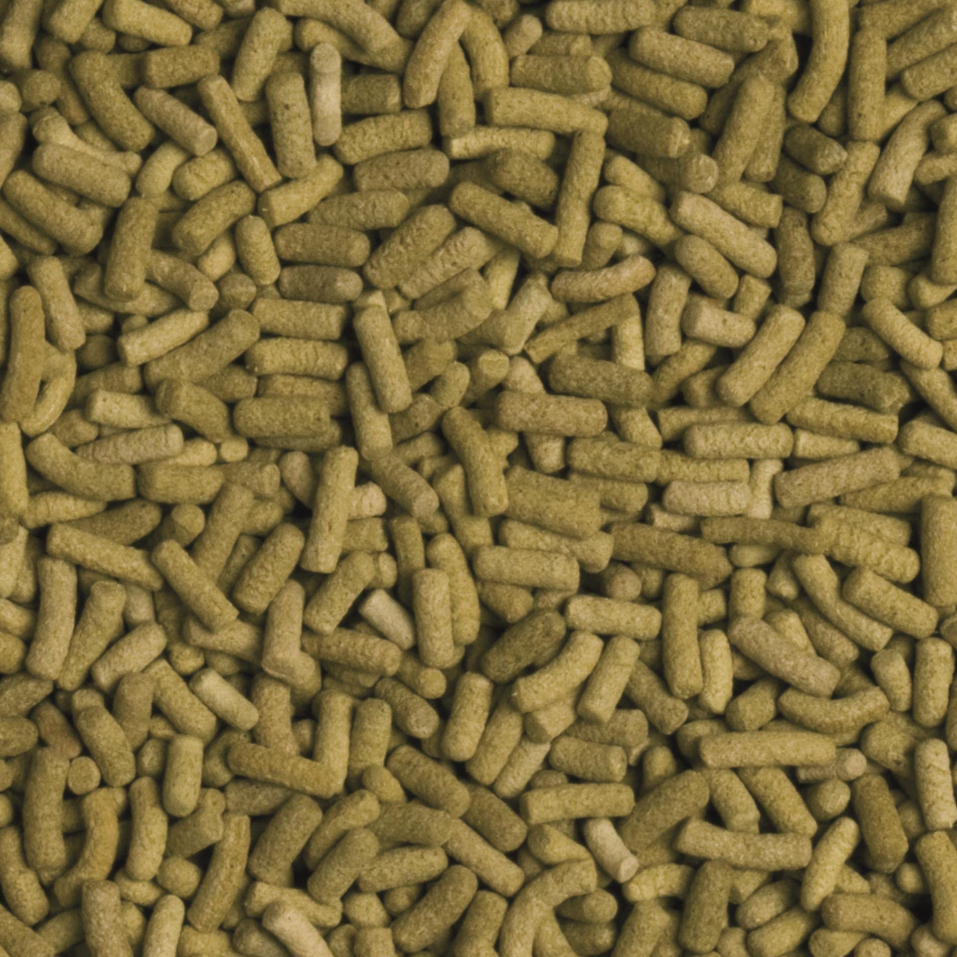 Tropical Wieloskładnikowy pokarm dla żółwi lądowych BIOREPT L. 5L / 4kg