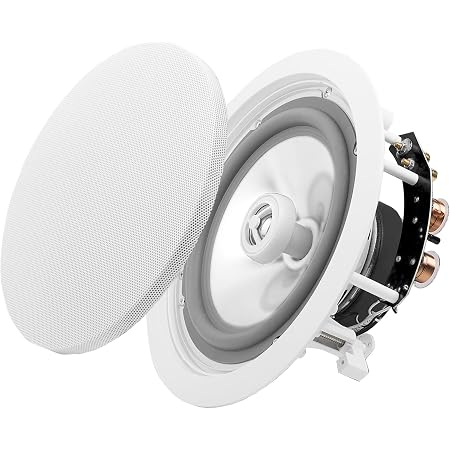 Weatherproof in-Ceiling Speaker Pair 