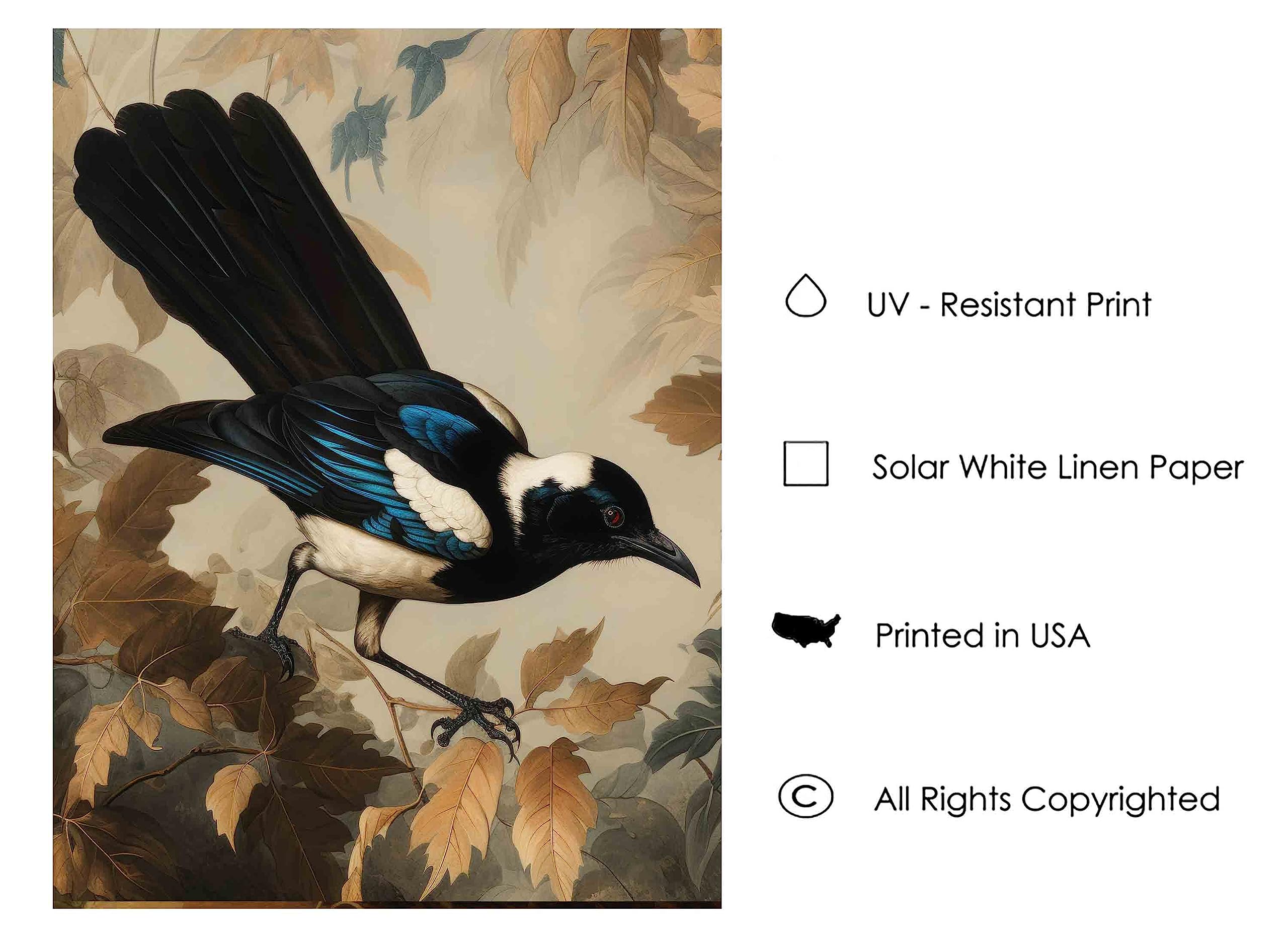 Amazon.com: Magpie Bird Vintage Poster Art Print Retro Wall Art