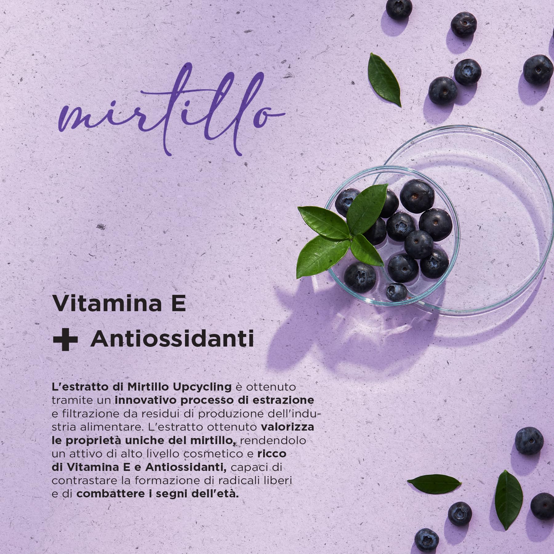 Naturaverde | Upcycling Burro Struccante, con Mirtillo, 90 ml