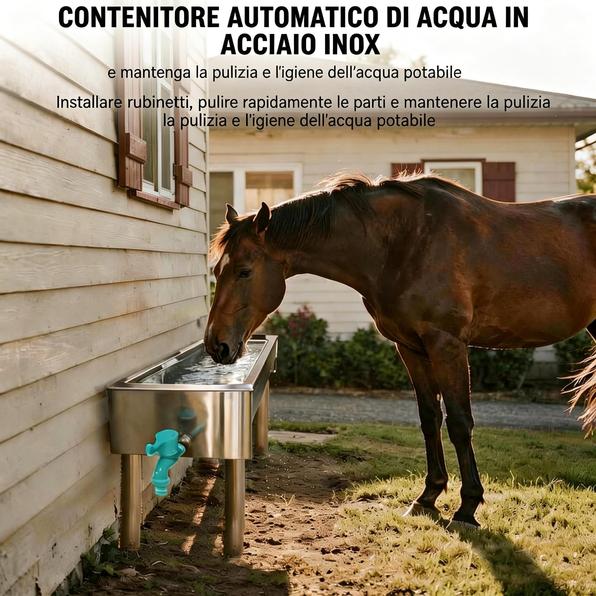 Bevitori automatici per bestiame, abbeveratoi per cavalli con valvola galleggiante da 1/2 di pollice, abbeveratoi di capra per bestiame, cavalli, pecore, cani e kit per abbeveratoi di uccelli di