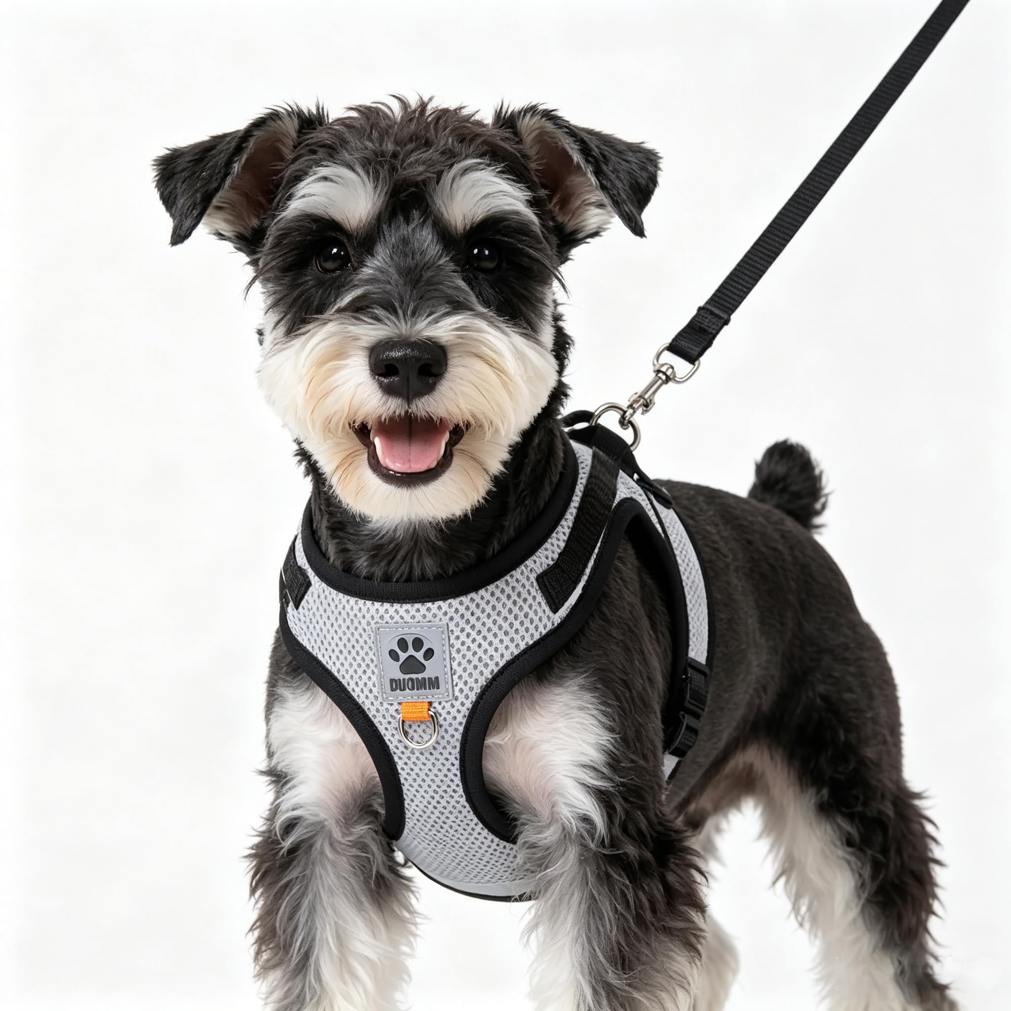 Embhlitfe Dog Harness and Leash Set, Step-in Soft Mesh Puppy Harness for Small Dogs, Reflective Breathable Walking Harnesses, Lightweight Dog Vest Harnesses for Training, Puppy Harnes and Lead Sets