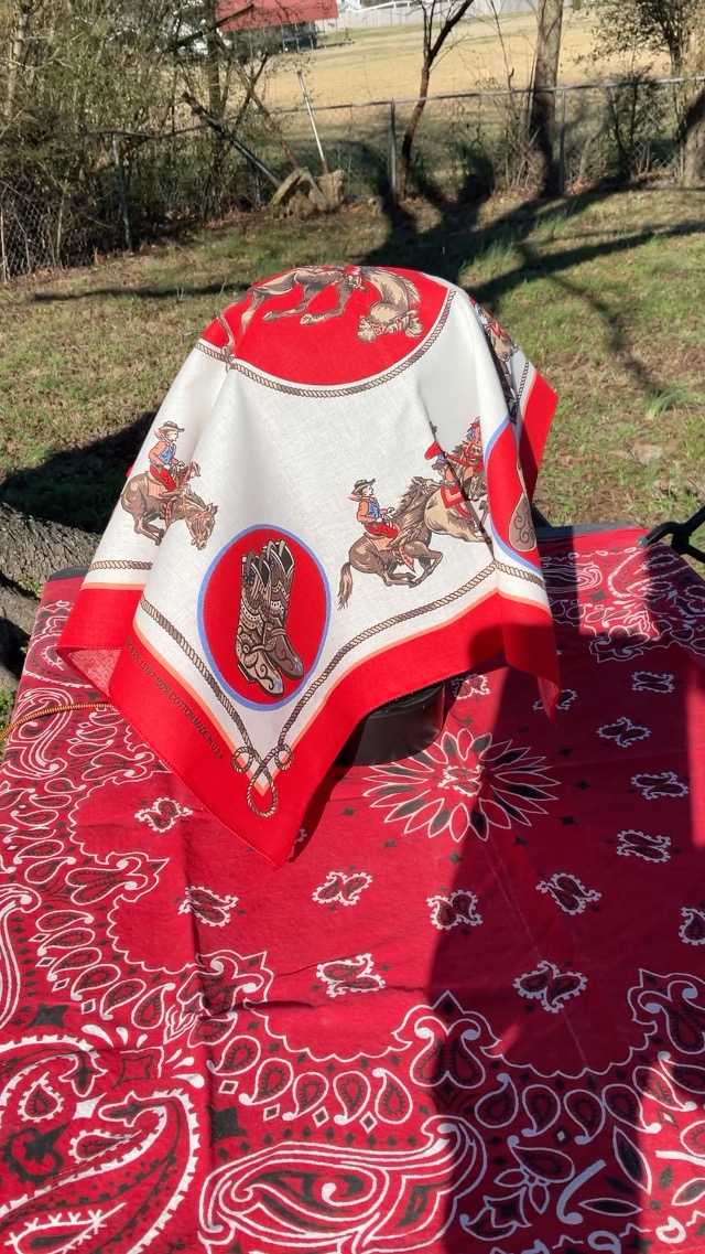 Amazon.com: Hav-A-Hank Rodeo Cowboy Red Bandanna, 22x22, Made in