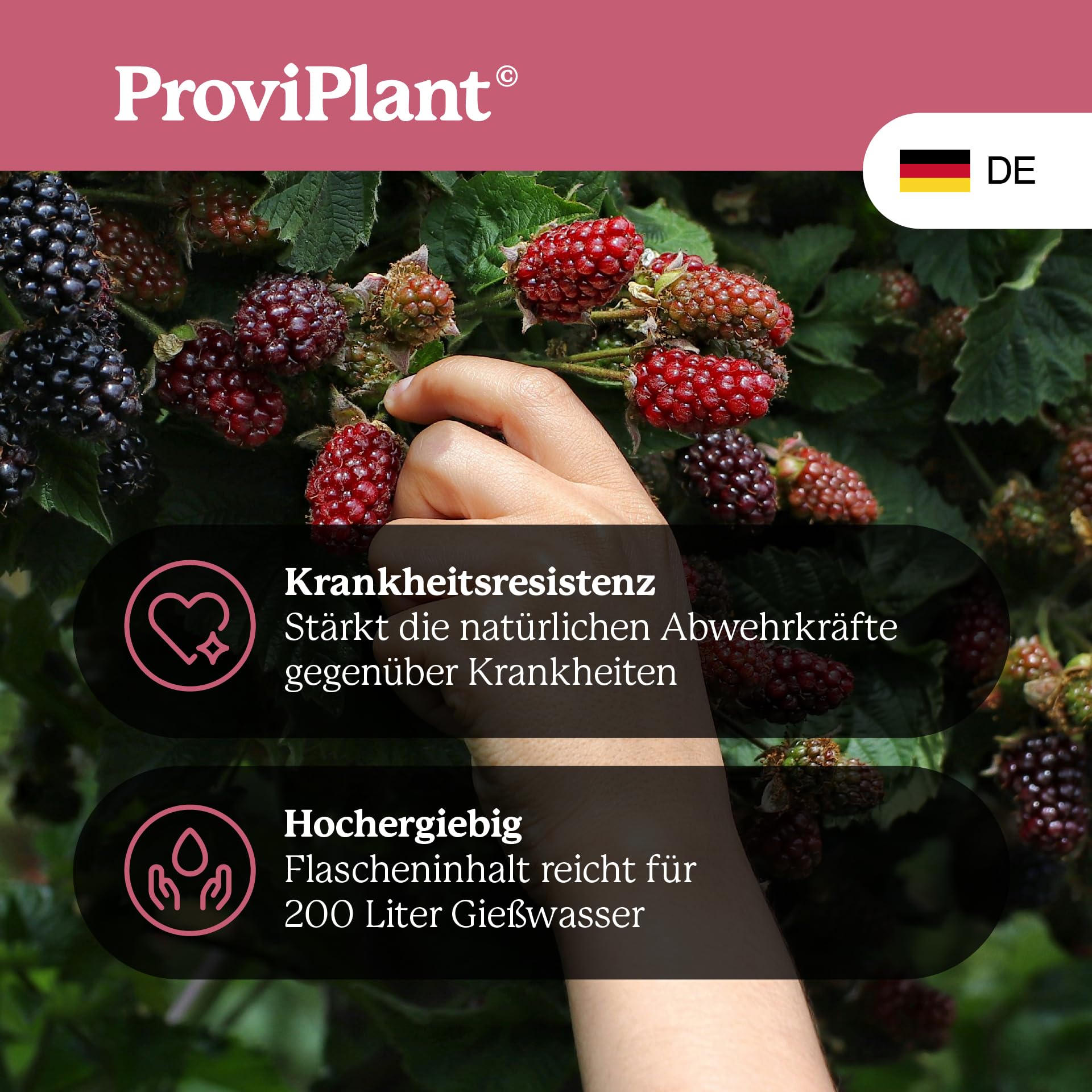Fertilizzante liquido per frutta alle bacche – Per fragole, lamponi, mirtilli & Co – 1 litro concentrato per fino a 200 litri di acqua – Serra e aiuole – Made in Germany