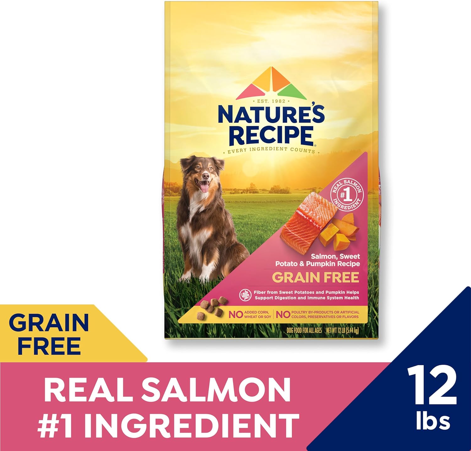 Nature's Recipe Grain Free Dry Dog Food, Salmon, Sweet Potato & Pumpkin Recipe, 12 lb. Bag