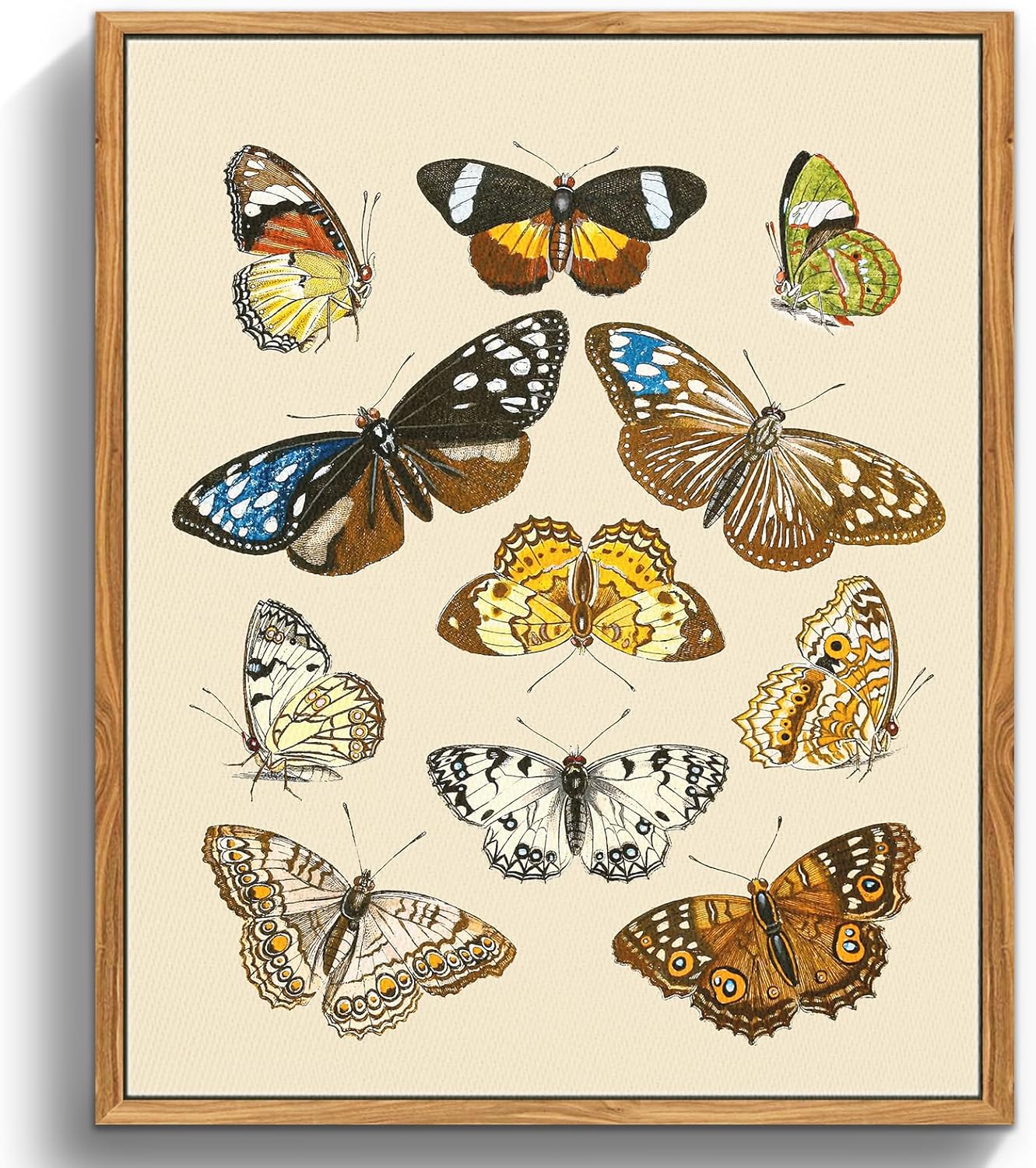 crmotu Butterfly Framed Wall Art, Nature Insect Vintage Canvas Prints Painting, Still Life Neutral Home Decorations, Rustic Aesthetic Pictures Wall Decor Living Room Bedroom Office Cottage, 16x24inch 24"L x 16"W Butterfly Swarm