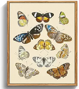 crmotu Butterfly Framed Wall Art, Nature Insect Vintage Canvas Prints Painting, Still Life Neutral Home Decorations, Rustic Aesthetic Pictures Wall Decor Living Room Bedroom Office Cottage, 16x24inch