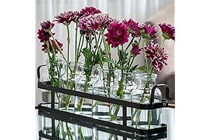 6pc Glass Flower Vase with Metal Holder