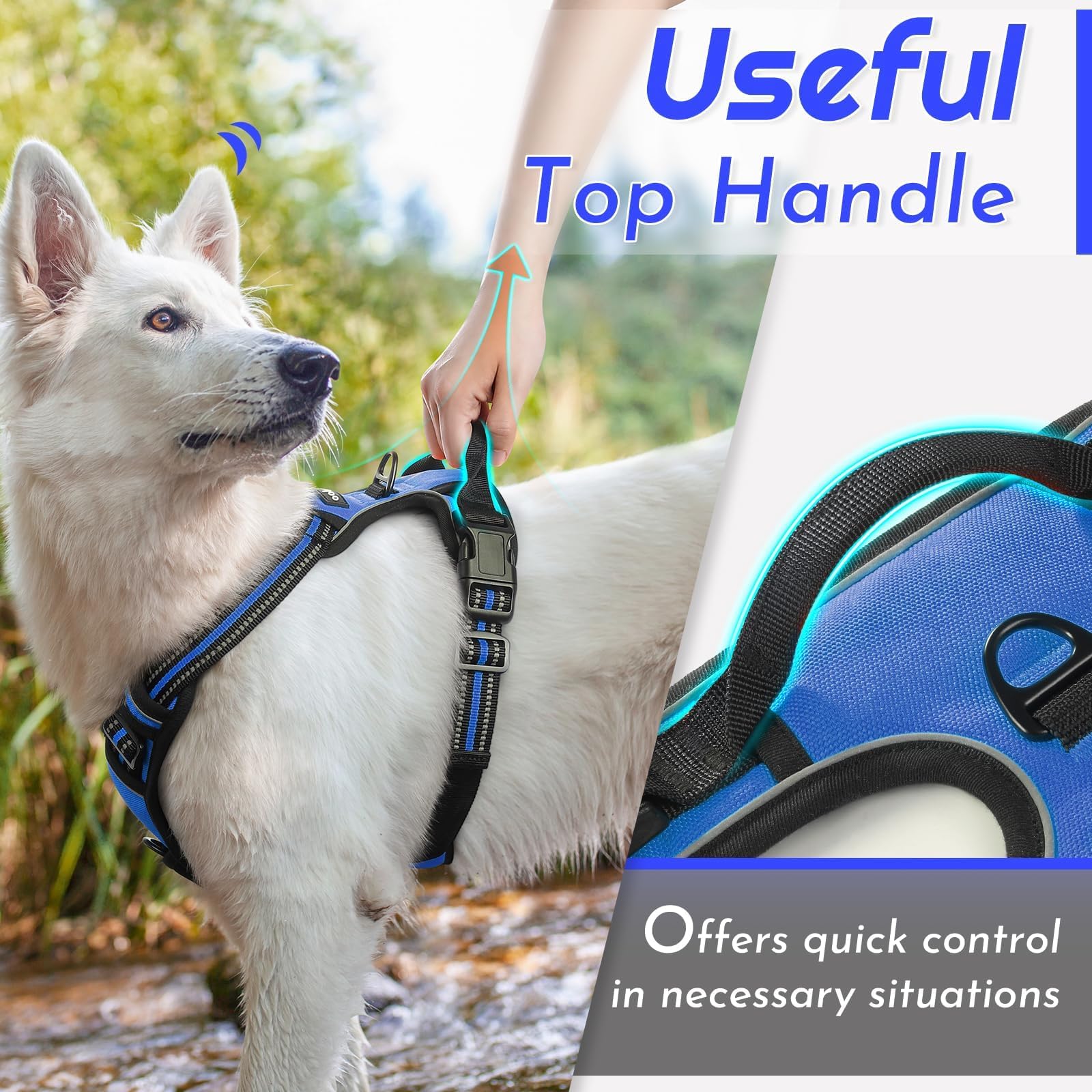 Eagloo Pettorina Cane Taglia Piccola, Pettorina ad h Antifuga, Imbracatura per Cani Anti Tiro con Doppio Gancio, Imbracatura Robusto e Regolabile per Addestramento Passeggiate, S, Blu