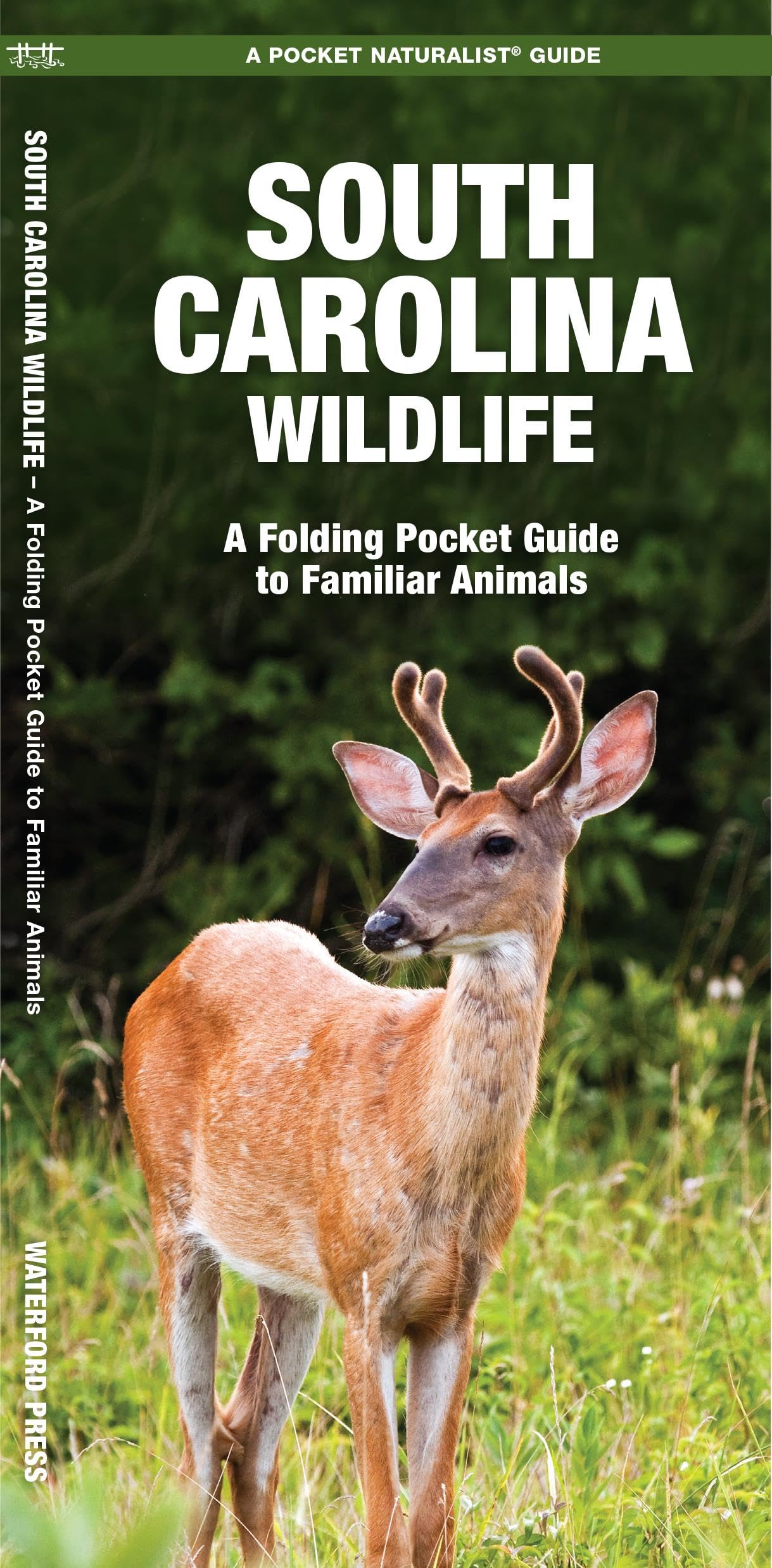 South Carolina Wildlife: A Folding Pocket Guide to Familiar Animals (Nature Observation North America)