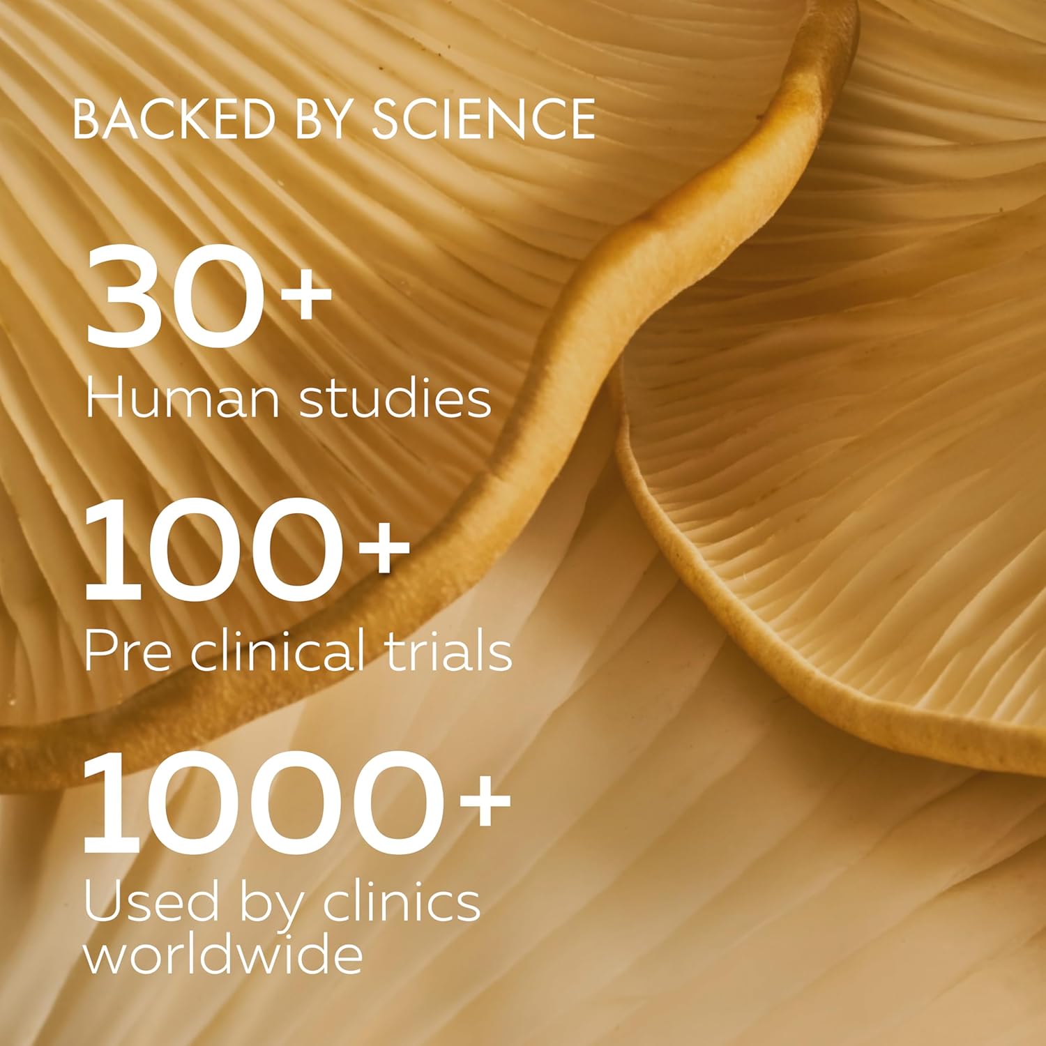 HPD Rx Premium AHCC & Shiitake Mushroom 1100 mg per Serving Supplement, Natural Immunity Booster, Maintains Natural Killer Cell Activity | AHCC is Proven in 30+ Studies | 60-Day Supply, 2-Pack - Image 7