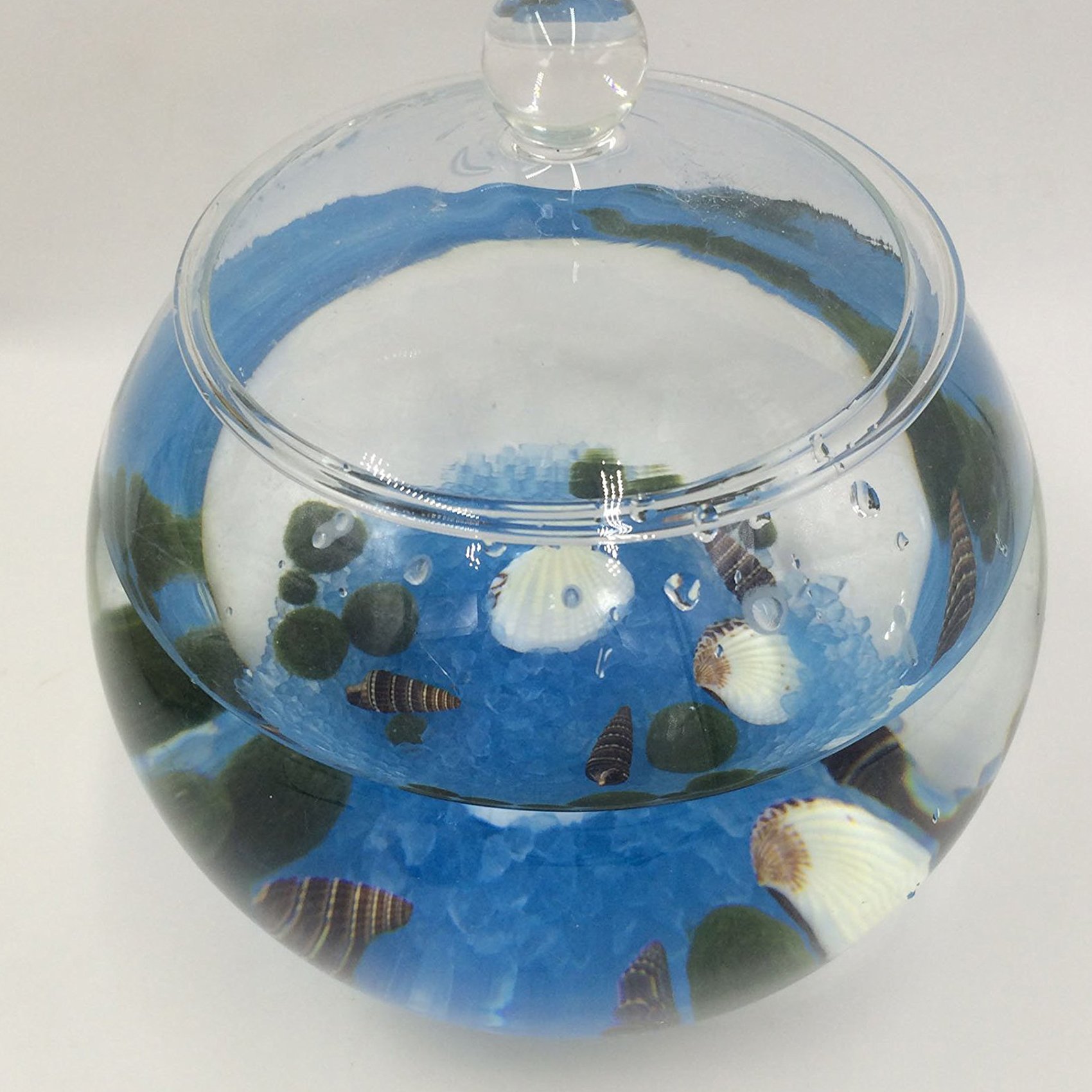musykrafties Terrarium en verre de 20 cm avec couvercle - Grand format