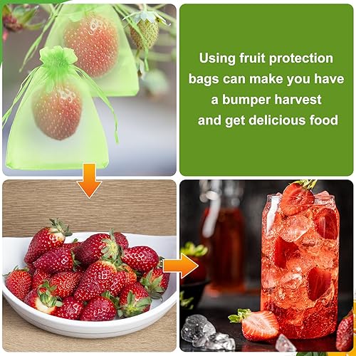 Miniatura 7 de SumDirect 100 bolsas de protección de frutas, bolsas pequeñas de malla verde de 4 x 6 pulgadas con cordón, bolsas de cubierta de red, barrera de