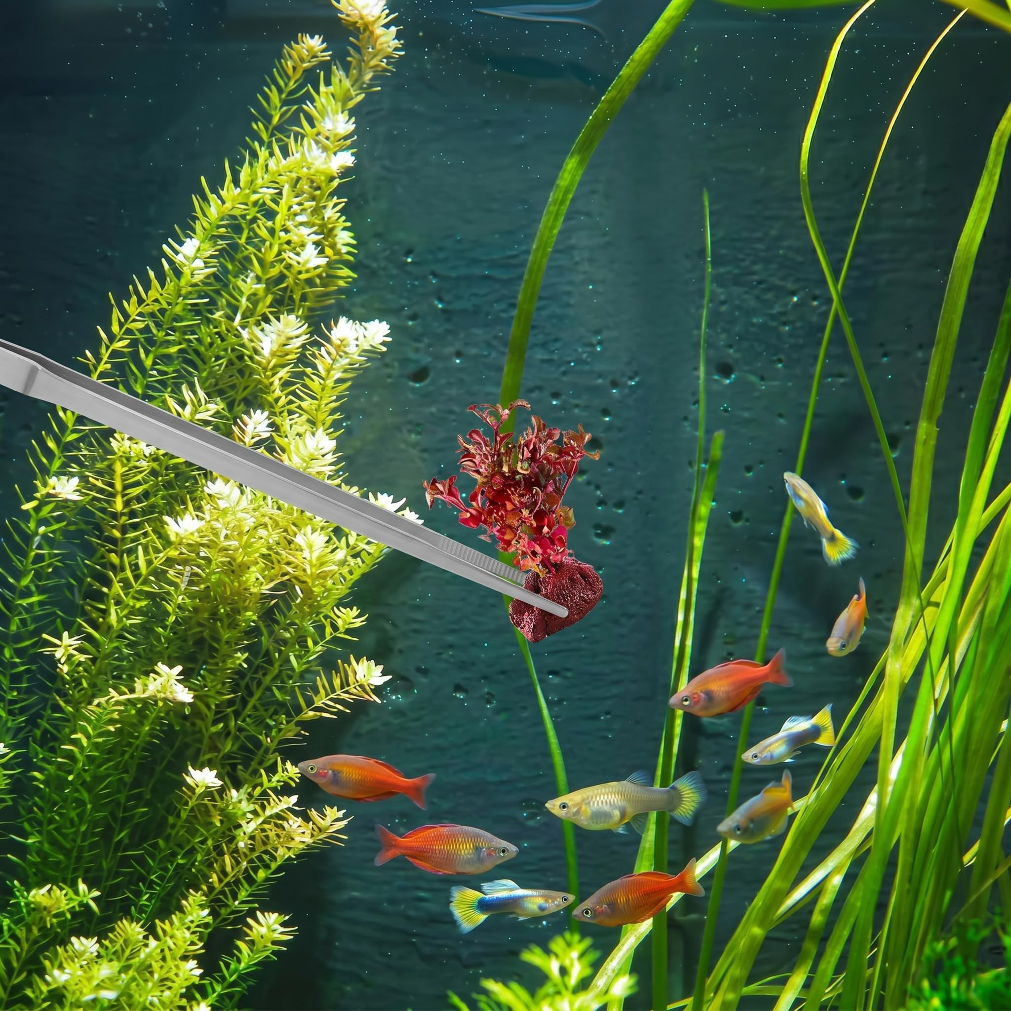 2 pinzas largas para acuario, pinzas curvadas de 27 cm, pinzas de alimentación de reptiles de acero inoxidable, herramientas de terrario, alimentador para lagartos, accesorios de tanque de serpiente
