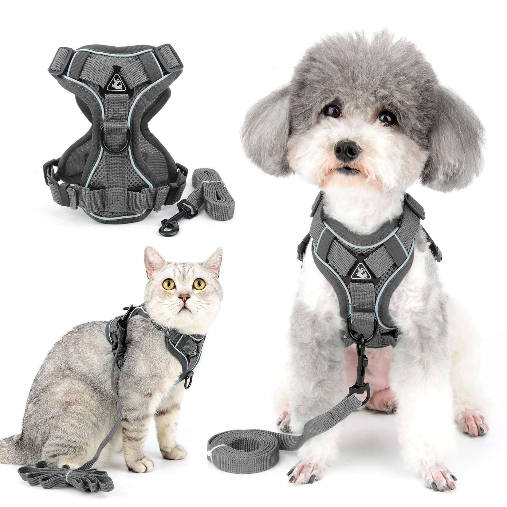 Ranphy No Pull Small Dog Harnesss and Leash Set Reflective Pet Step In Vest Escape Proof Puppy Cat Harnesses Breathable Adjusatble Chest Harness Walking Jacket for Outdoor Trainning
