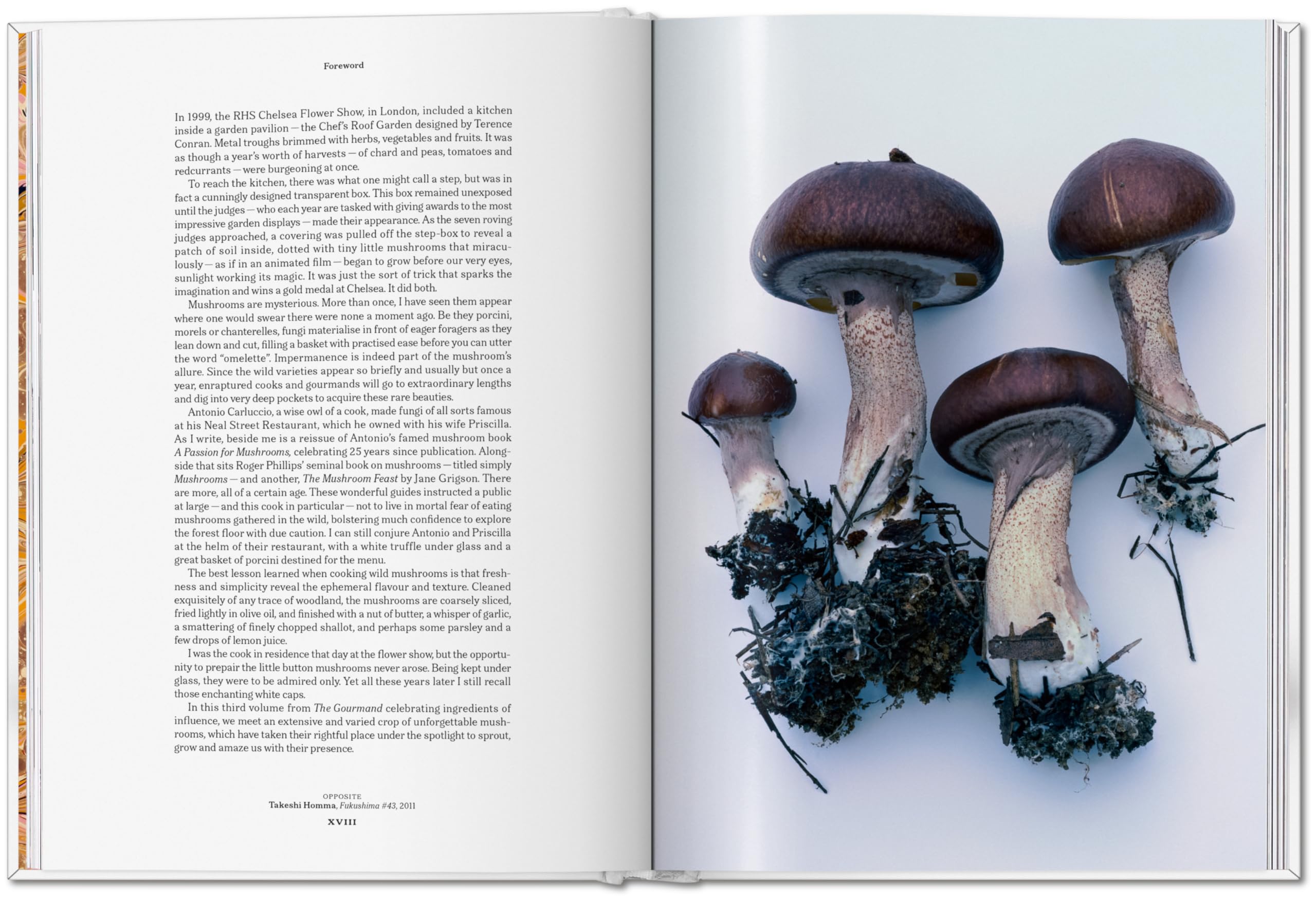 The Gourmand's Mushroom: A Collection of Stories and Recipes