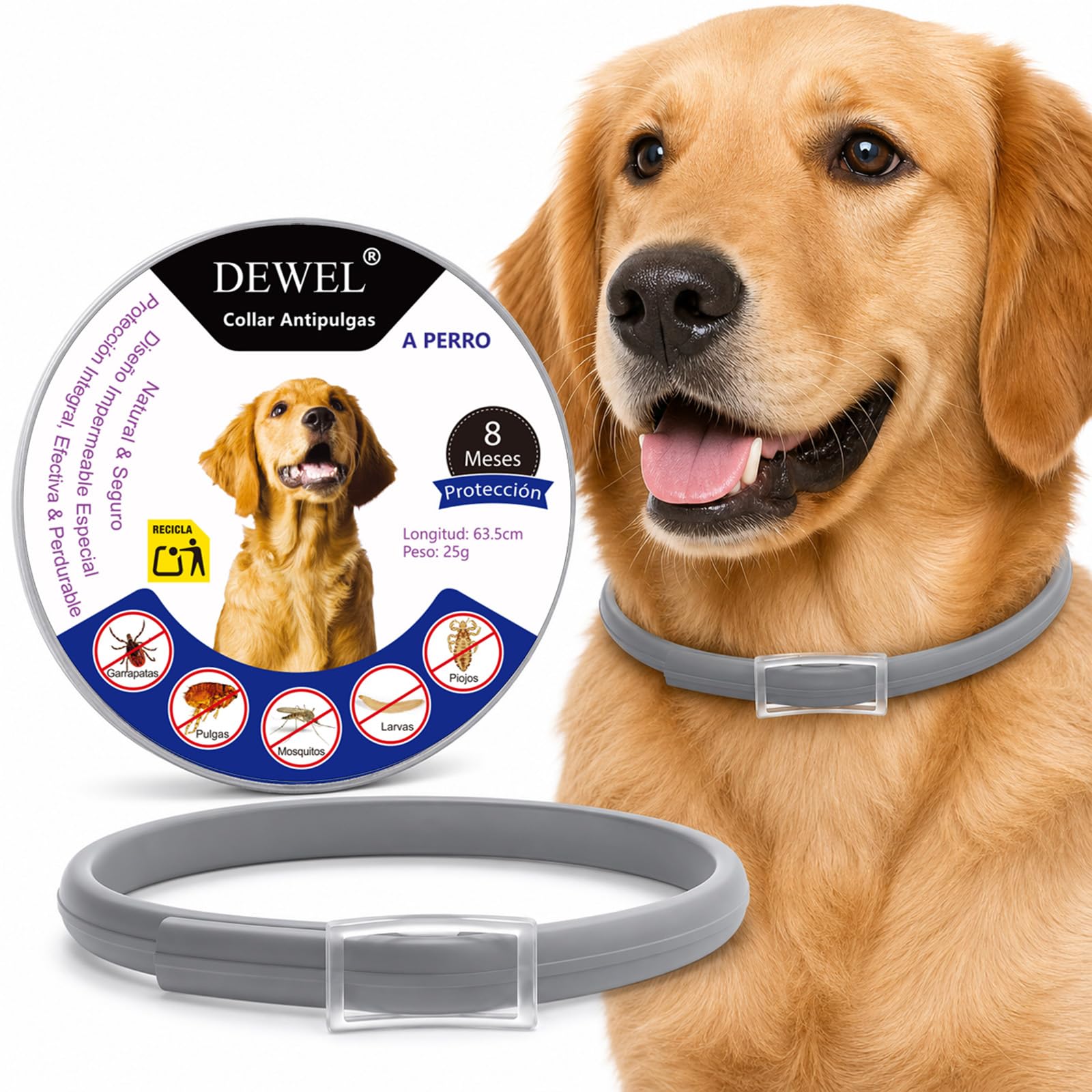 DEWEL Collar 8 Meses