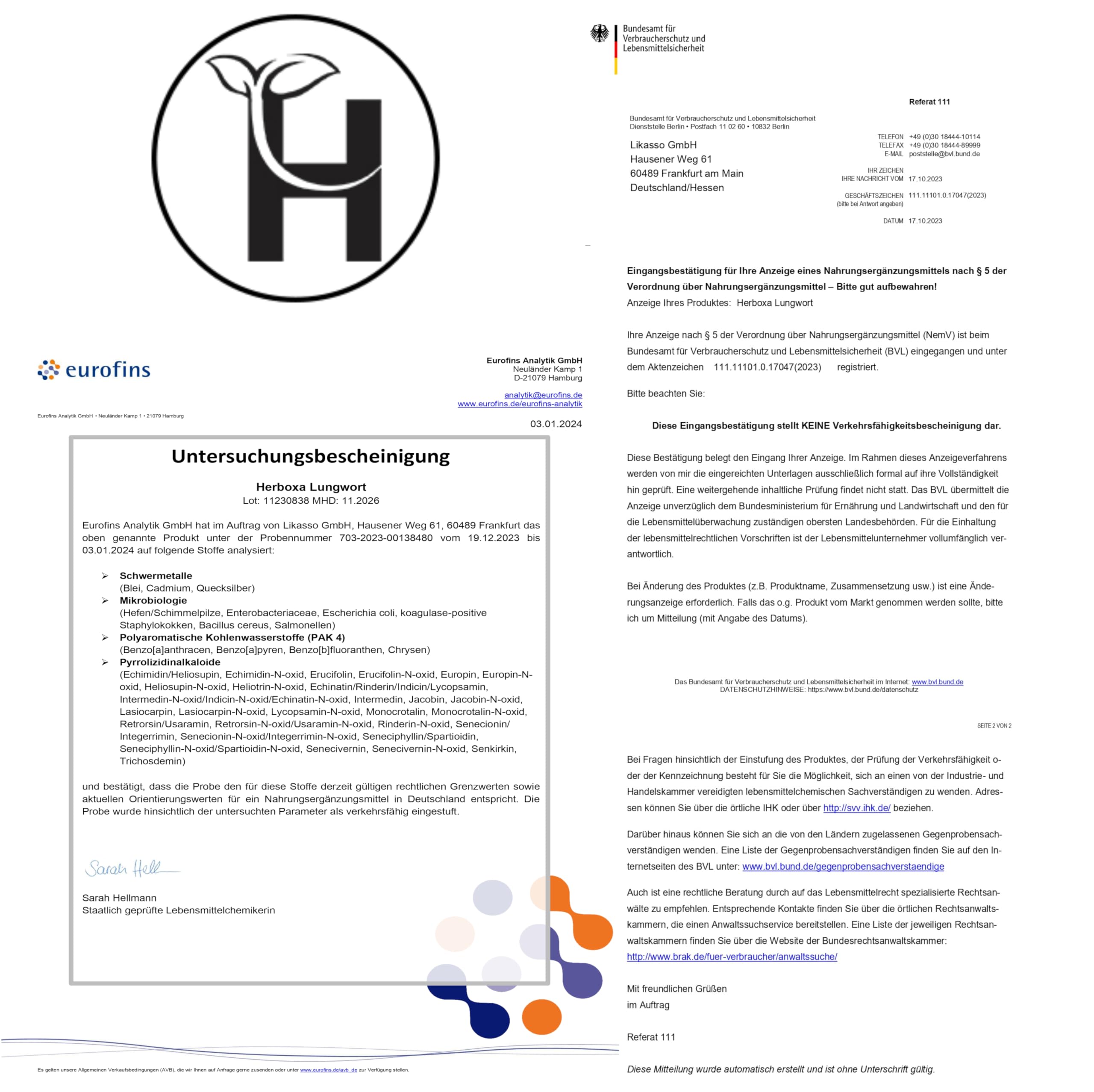 Herboxa Lungenkraut Mehrere Packungen (2 Stück) - mit geflecktes Lungenkraut - Enthält Folsäure, die Müdigkeit und Erschöpfung reduziert, Vitamin C, Quercetin, ProG-Phen - 60 Kapseln