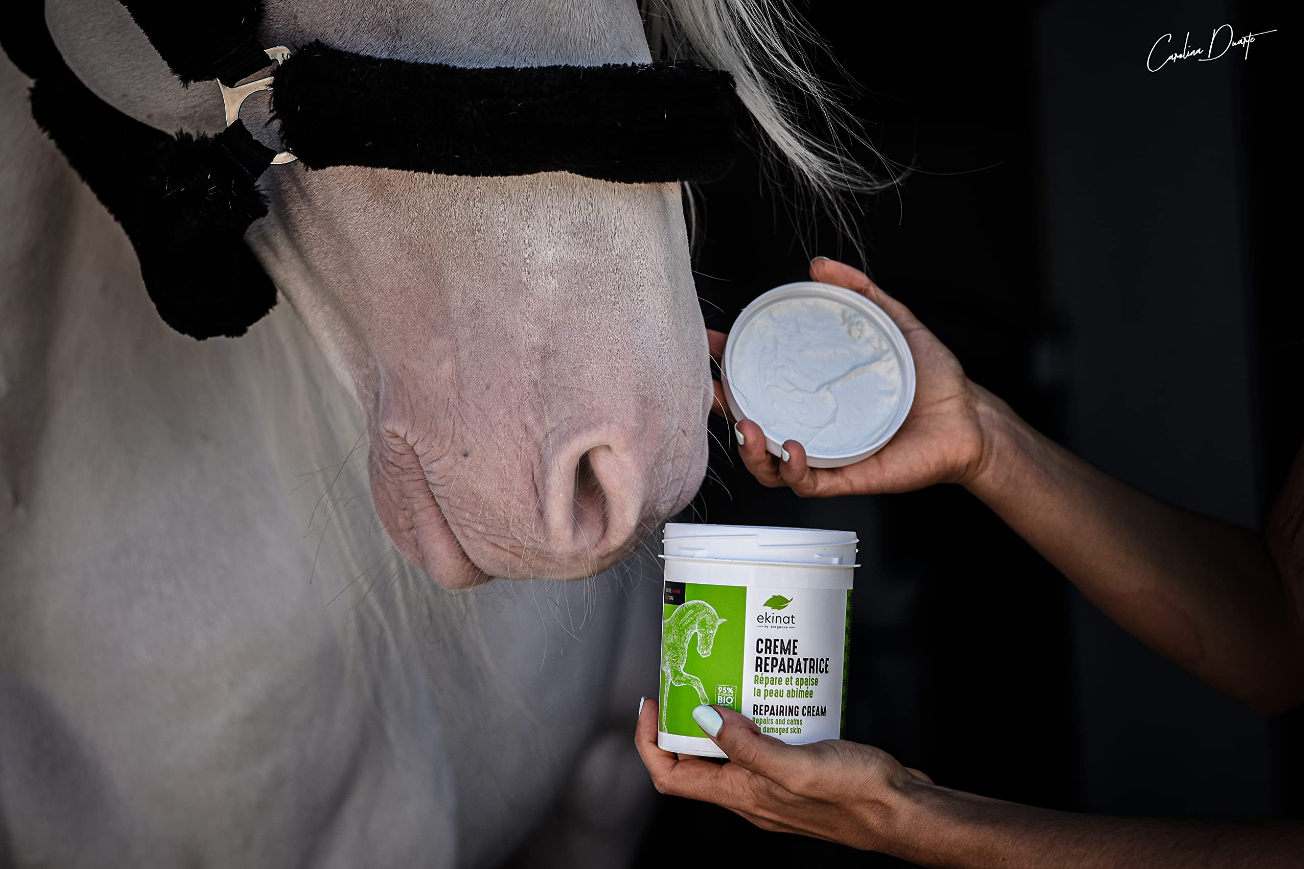 Crema reparadora para Caballos