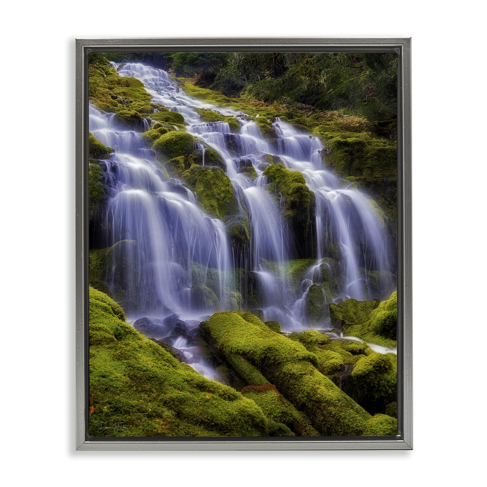 Stupell Industries Luster Gray (Matte) 'Upper Proxy Falls', Floating Frame Canvas Art, Gray, 25 X 31 Inches, Easy To Hang And Sturdy, Made In Usa, By Dennis Frates
