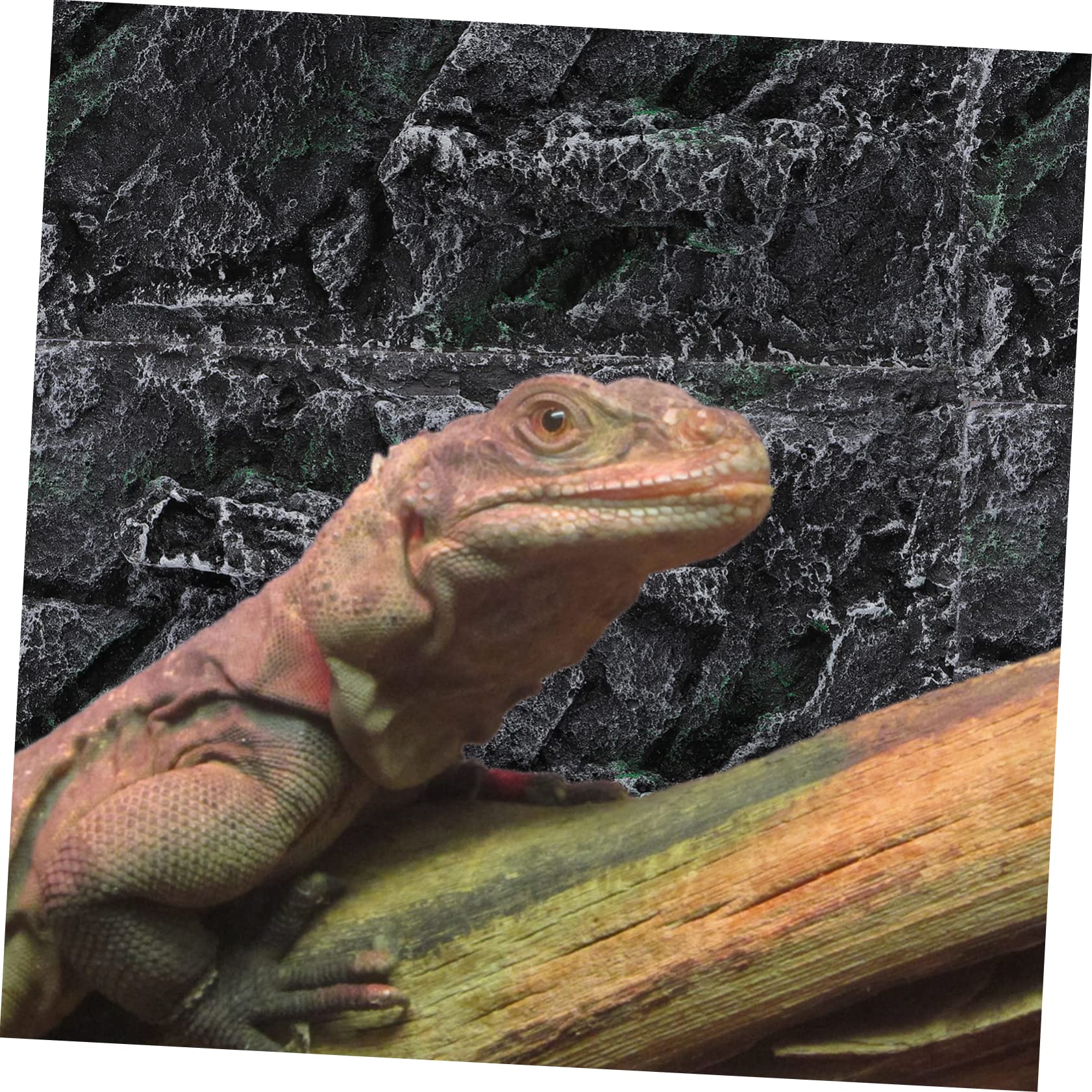 HOLIDYOYO Aquarium Decor Realistic Lizard Cage Board Reptile Terrarium Scene Easy to Place Random